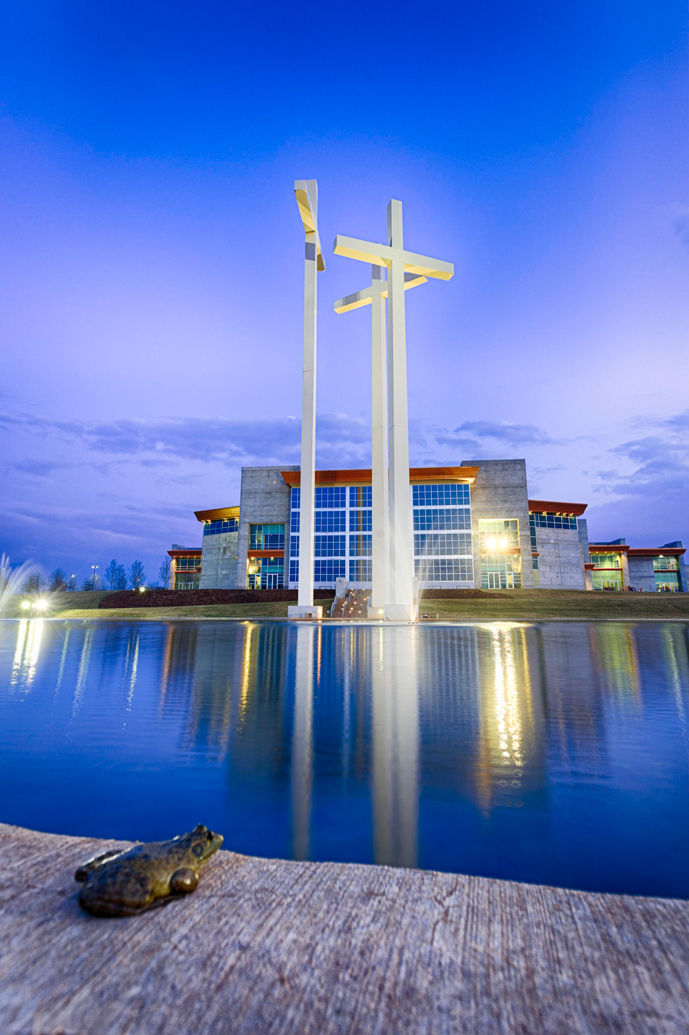 The Frog and the Church