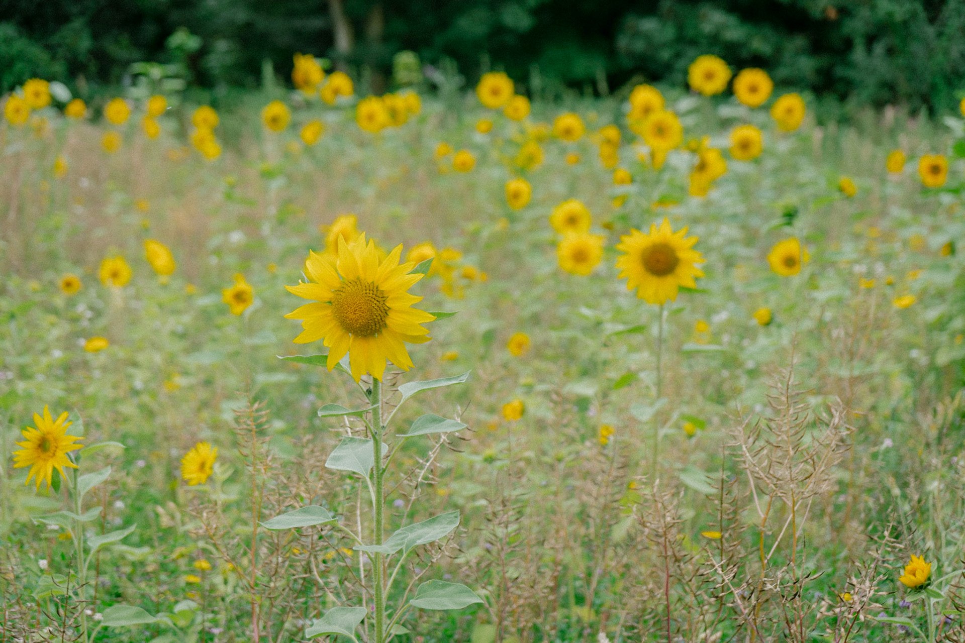Photo by Christoph Söldner http://foto.csoeldner.de/