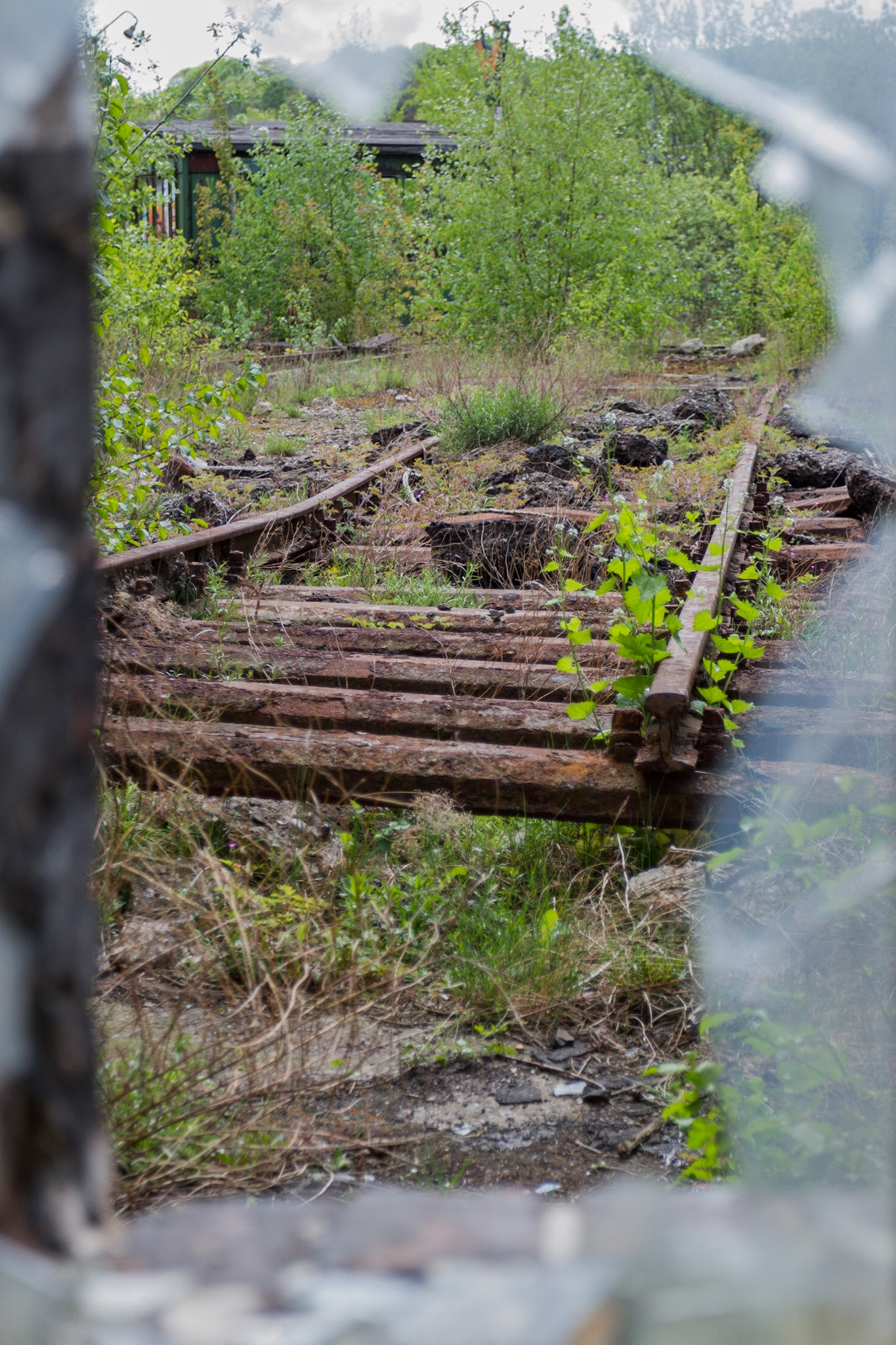 Foto von Christoph Söldner http://foto.csoeldner.de/