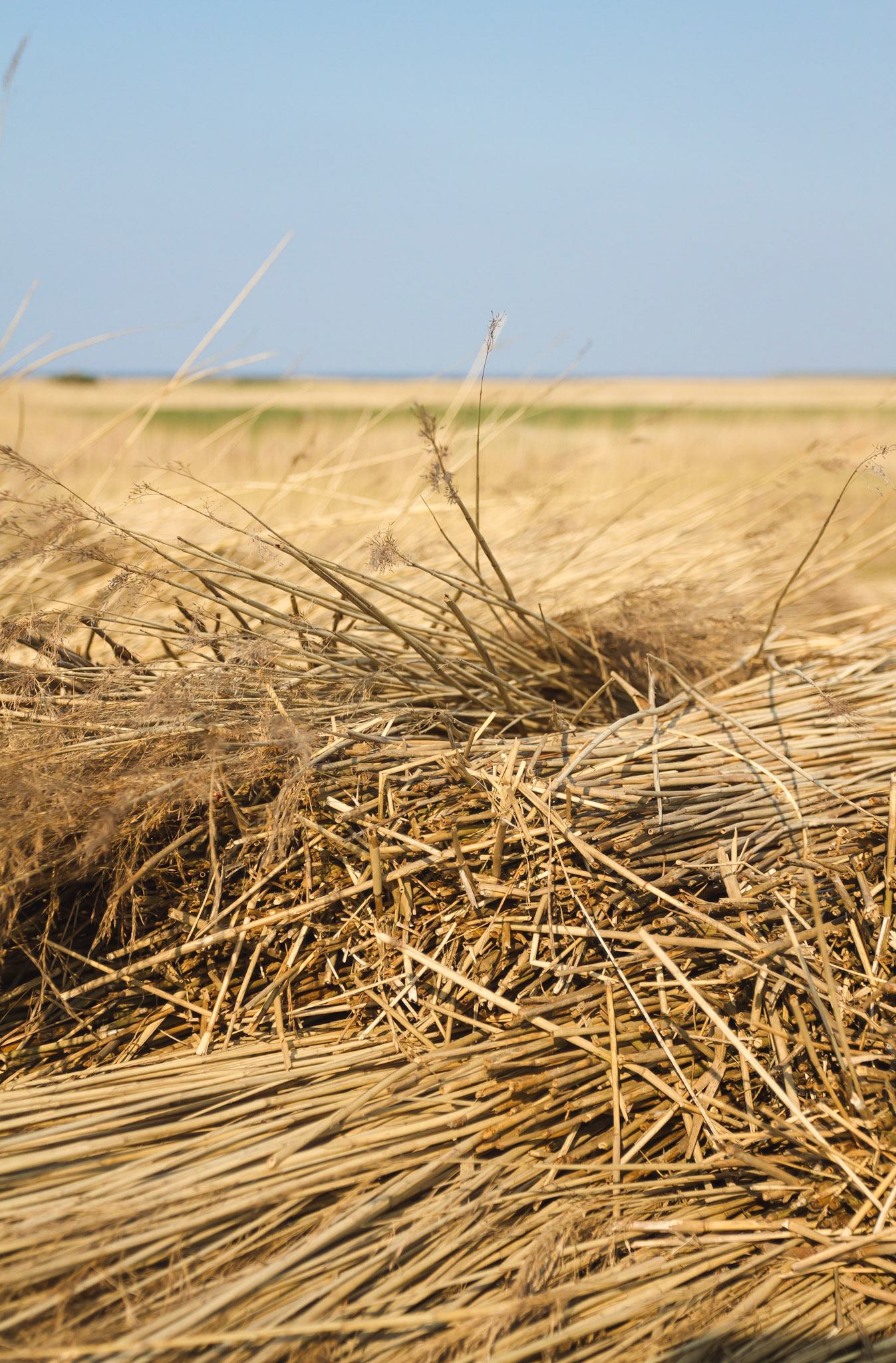 Photo by Christoph Söldner http://foto.csoeldner.de/