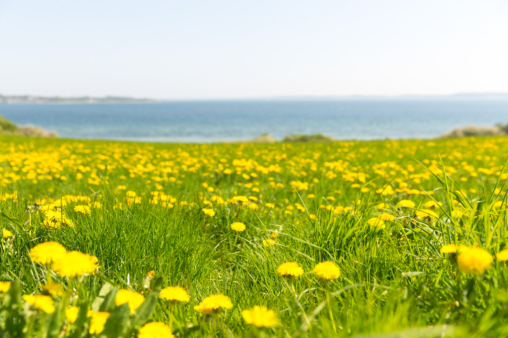 by Christoph Söldner