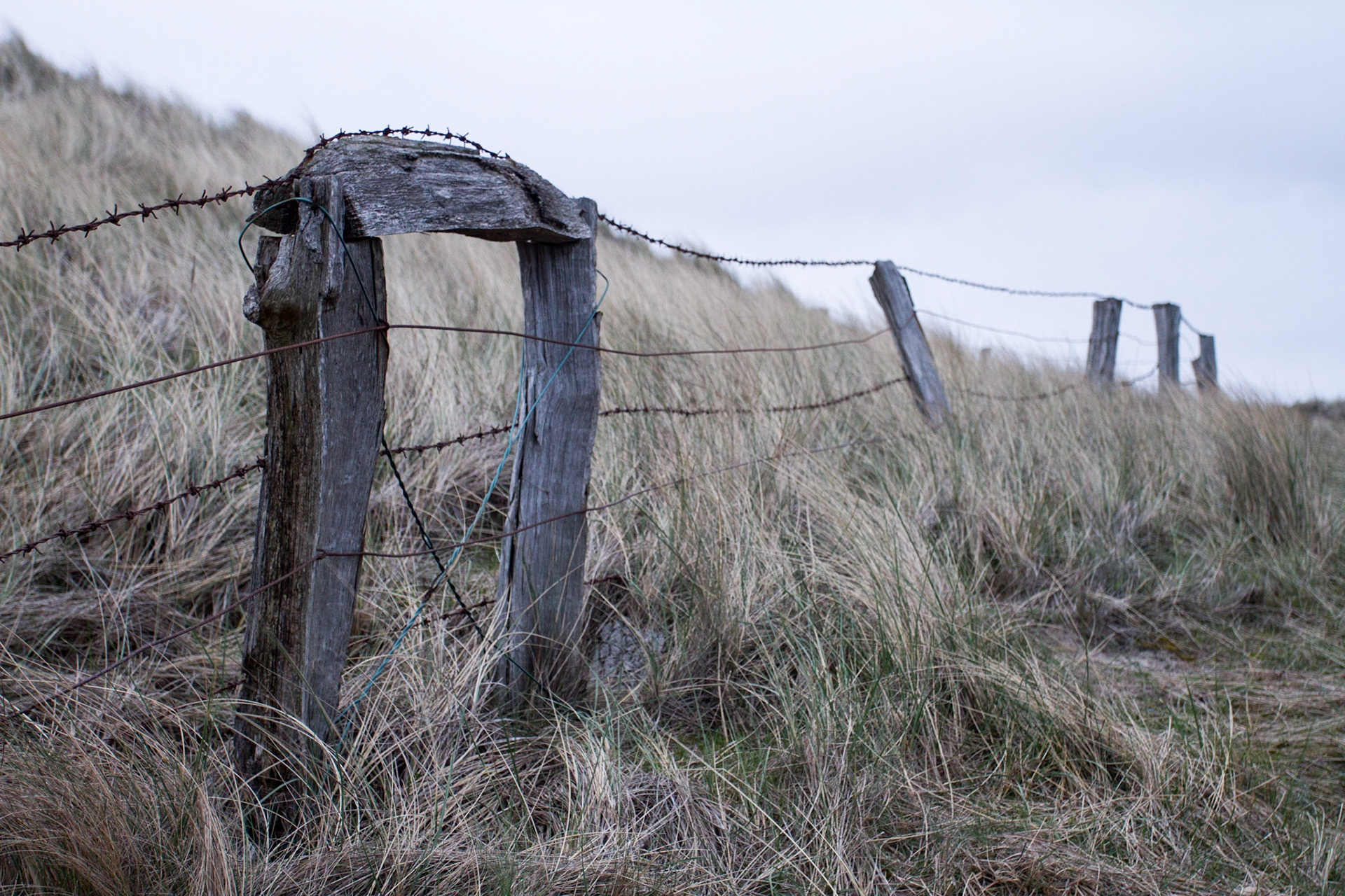 Photo by Christoph Söldner http://foto.csoeldner.de/