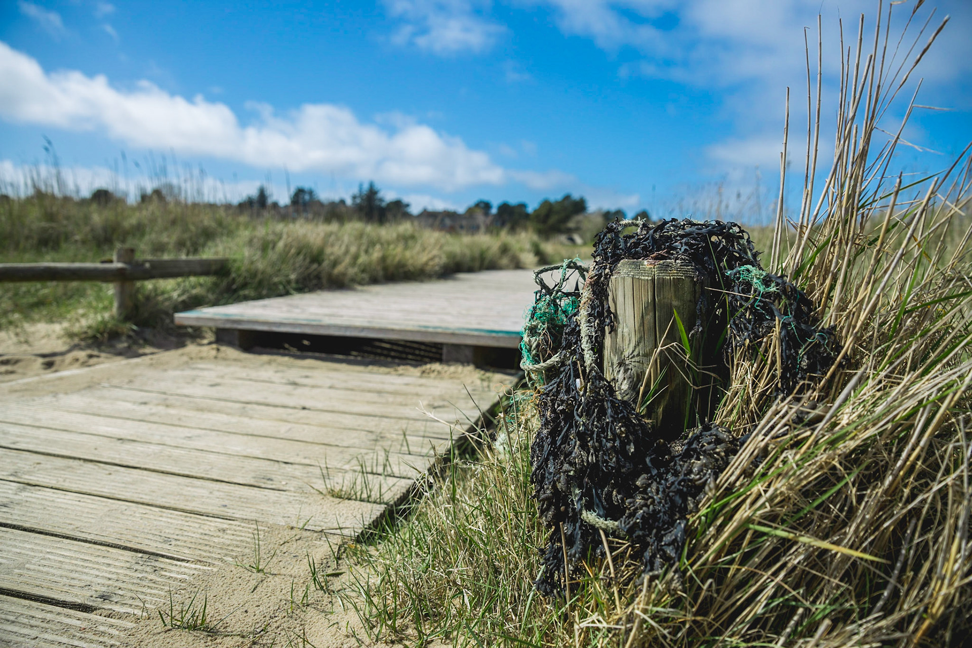 by Christoph Söldner