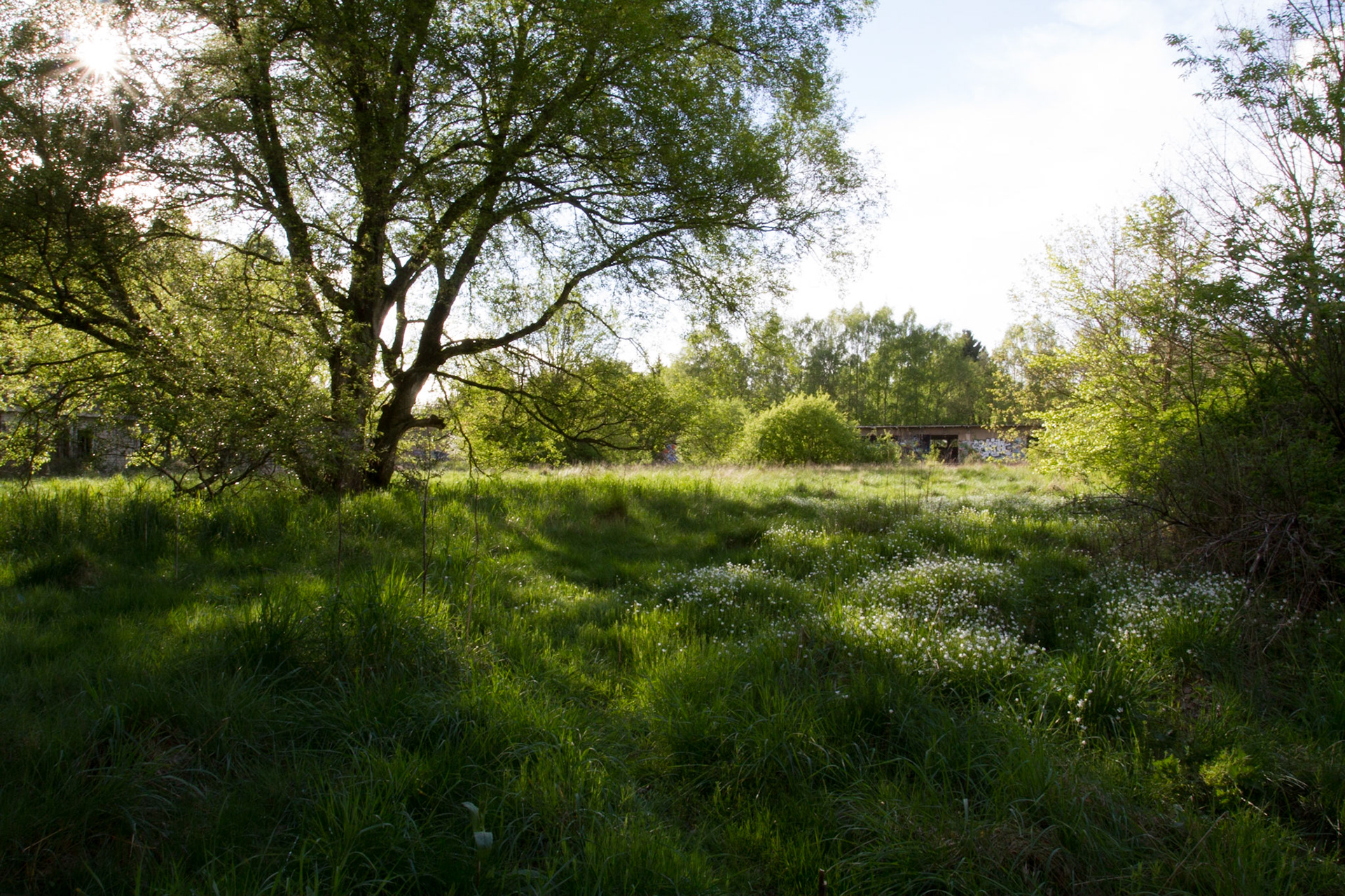 Photo by Christoph Söldner http://foto.csoeldner.de/