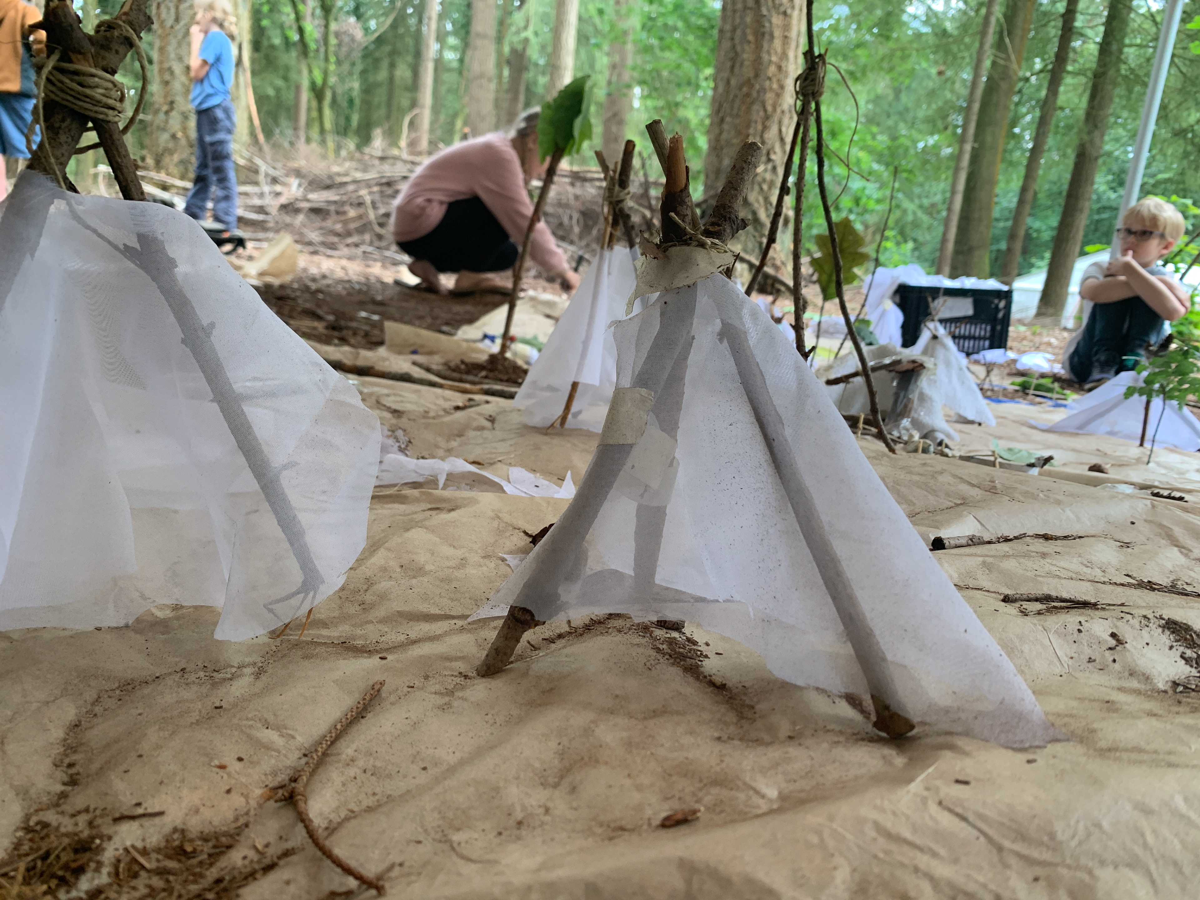 bostentjes en bosbewoners