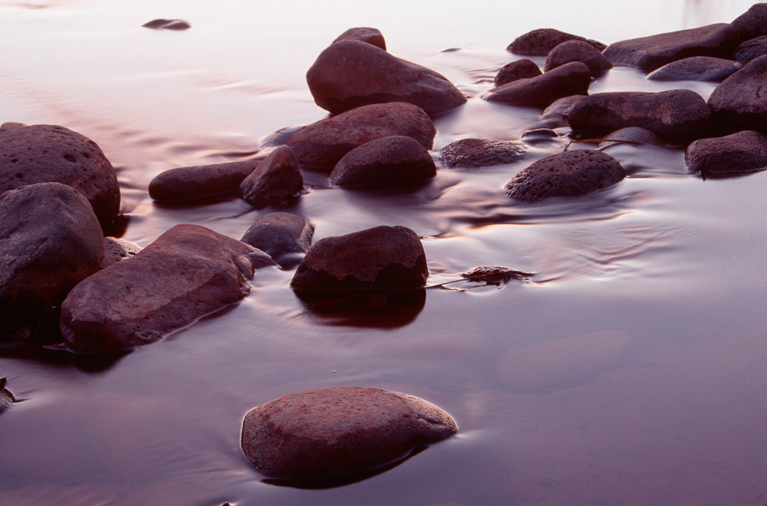 Oak Creek Rocks | Sedona, Arizona