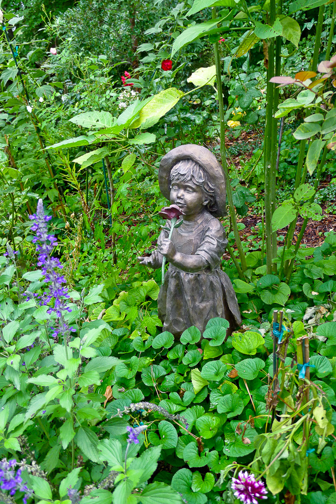 Stop and Smell the Flowers | Napa Valley, California