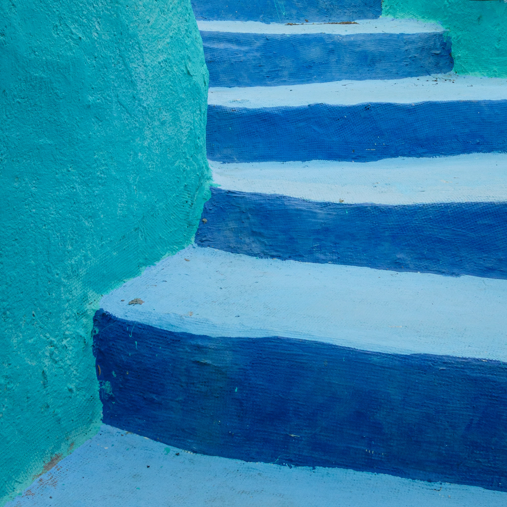 Eve's Garden | Marathon, Texas