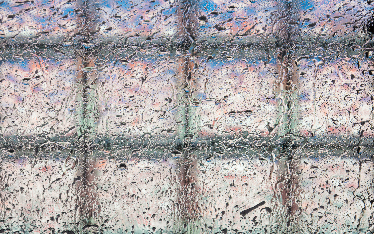 At The Carwash II | San Antonio, Texas