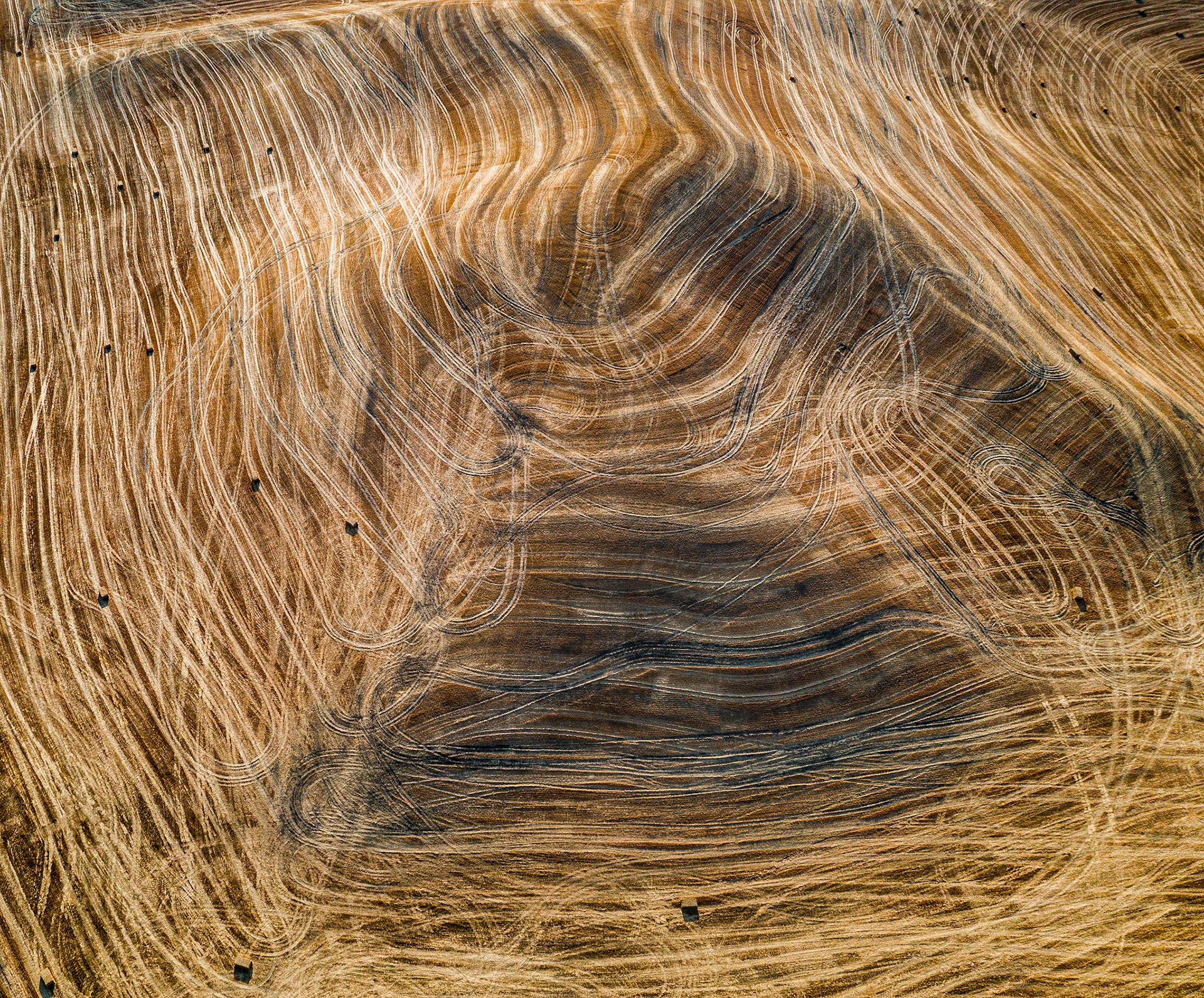 The Palouse | Pullman, Washington