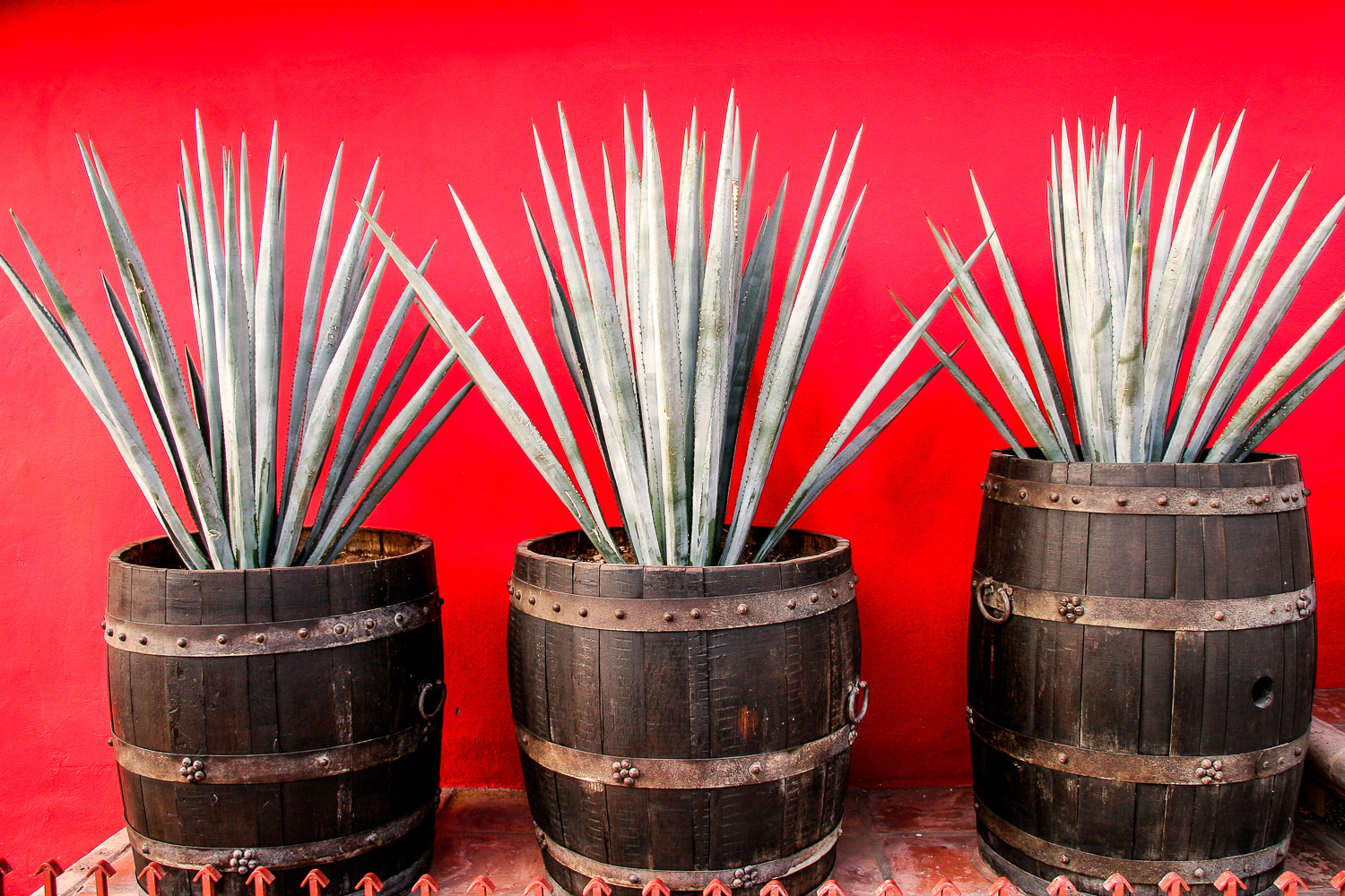 Cabo San Lucas, Mexico