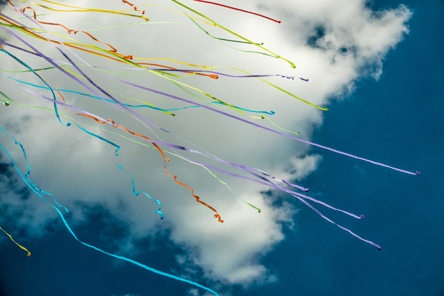 WooHooo! | Utopia, Texas