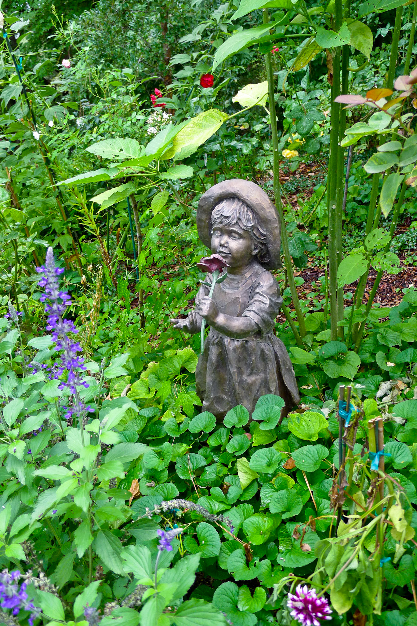 You Gotta Stop and Smell the Flowers | Napa Valley, California