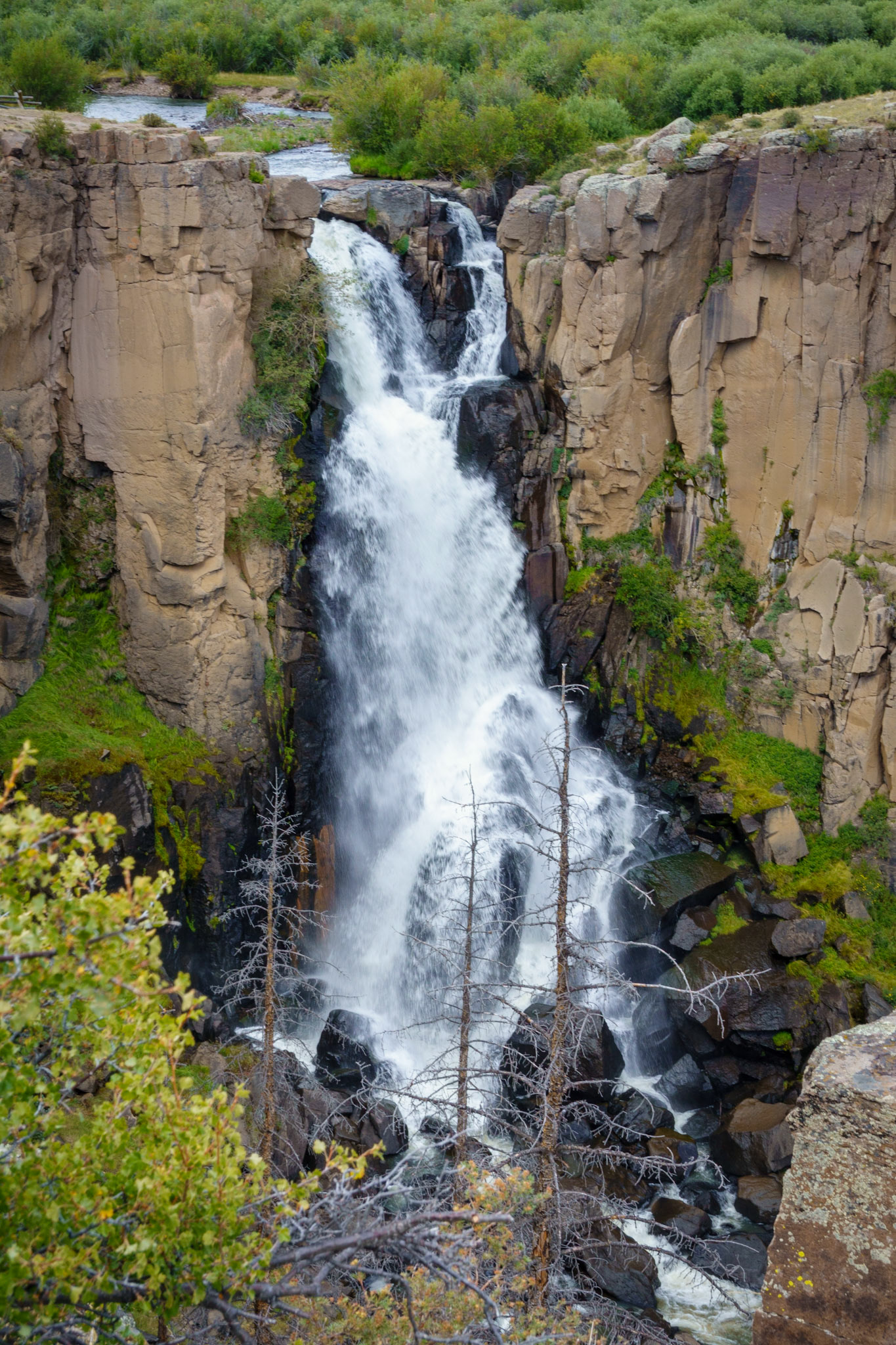 Clear Creek Falls ~ Colorado