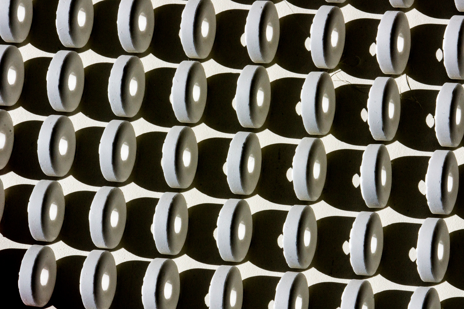 Rollin' Rollin' Rollin'