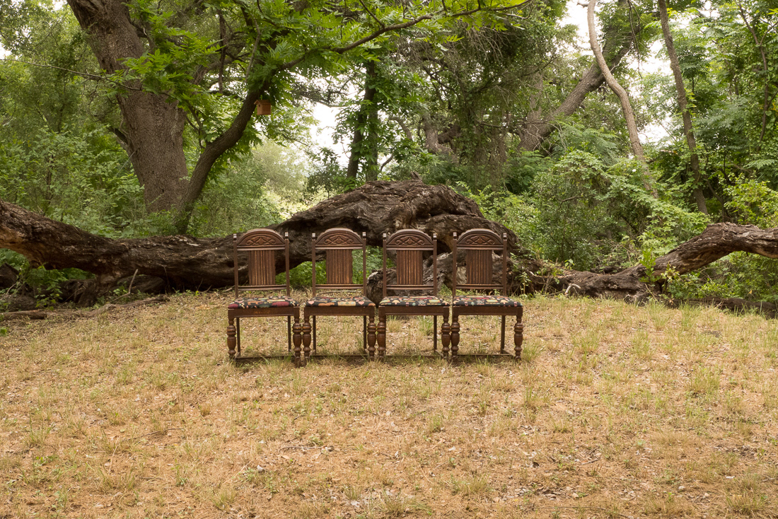 “The Elders Chairs” | Uvalde, Texas   A traditional part of our annual family reunion is the group photo. Everyone gathers around these front and center chairs which are always reserved for The Elders: the matriarchs and patriarchs of the family. This photo was a test shot taken to prepare for the family portrait - a the scene has been repeated many times.  The chairs are carefully placed in front of the giant old oak tree that has served as the backdrop for hundreds of photos. The same old oak that as kids we climbed over, battled over crawled all over as kids. Of course, there are no people in this photo.  But I look at it and can see lots of people; those with us now and those that have passed. And there is a racket going on; a cacophony of laughing, talking, yelling, kids running around, climbing all over the tree, Mammas after them like scattered chickens - it's a happy time.