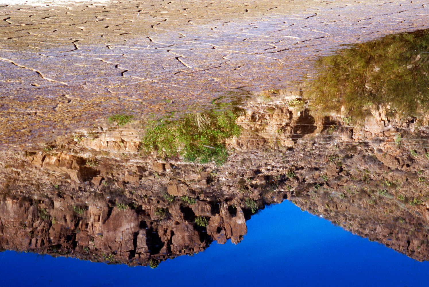 Mosquitofish Pond | Big Bend, Texas