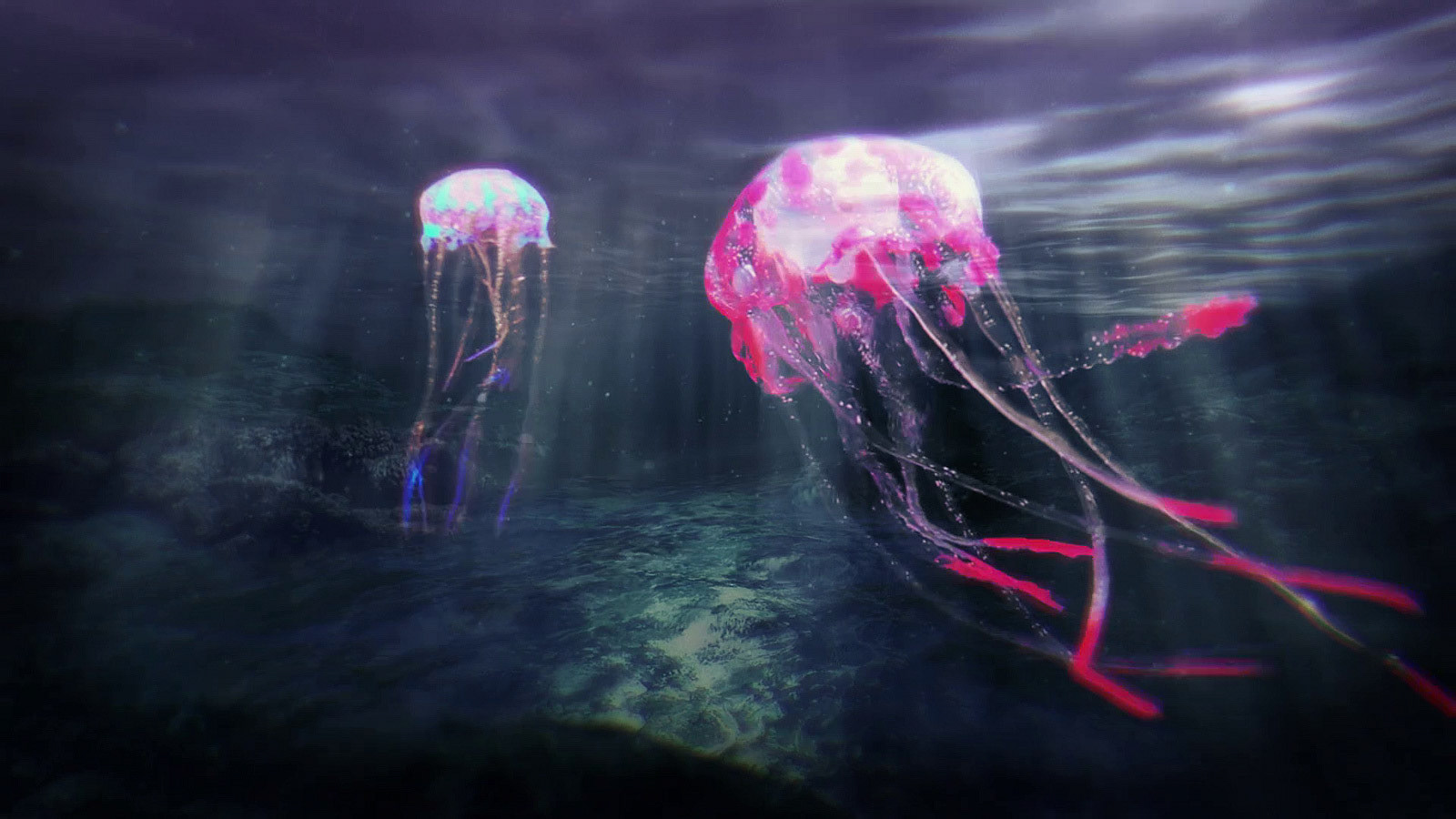 *Audioluminiscent Jellyfish*