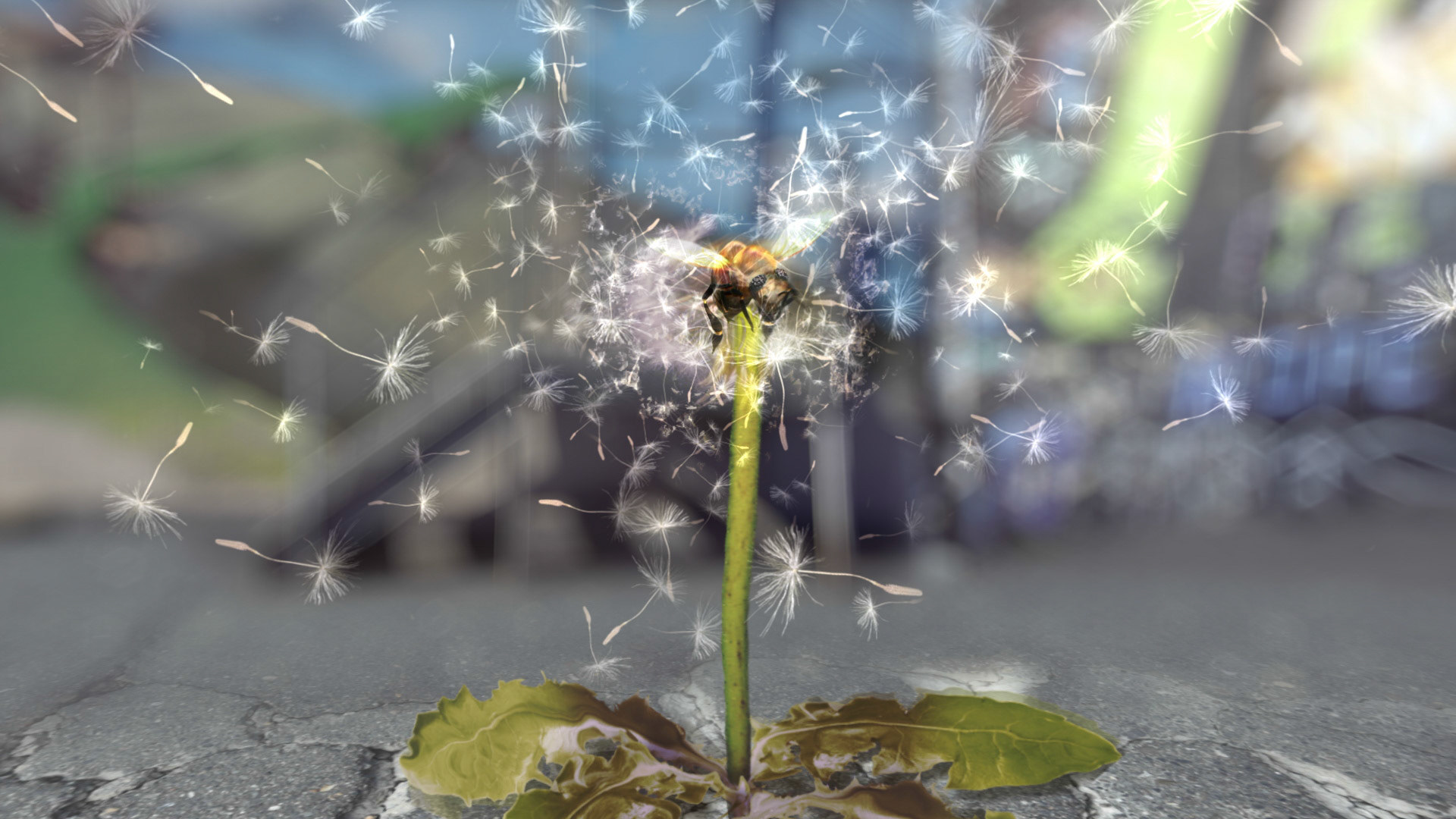 *Killer Bee*