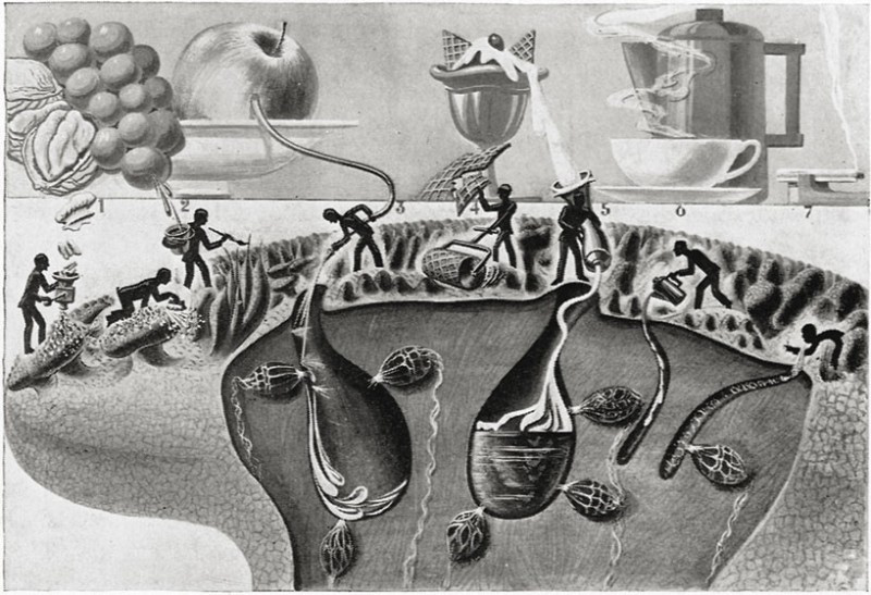 Fritz Kahn