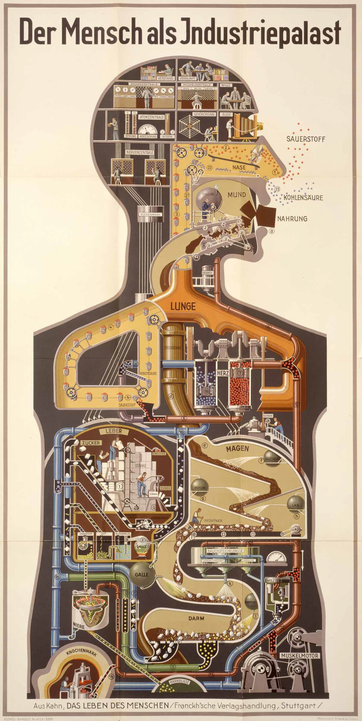 Fritz Kahn