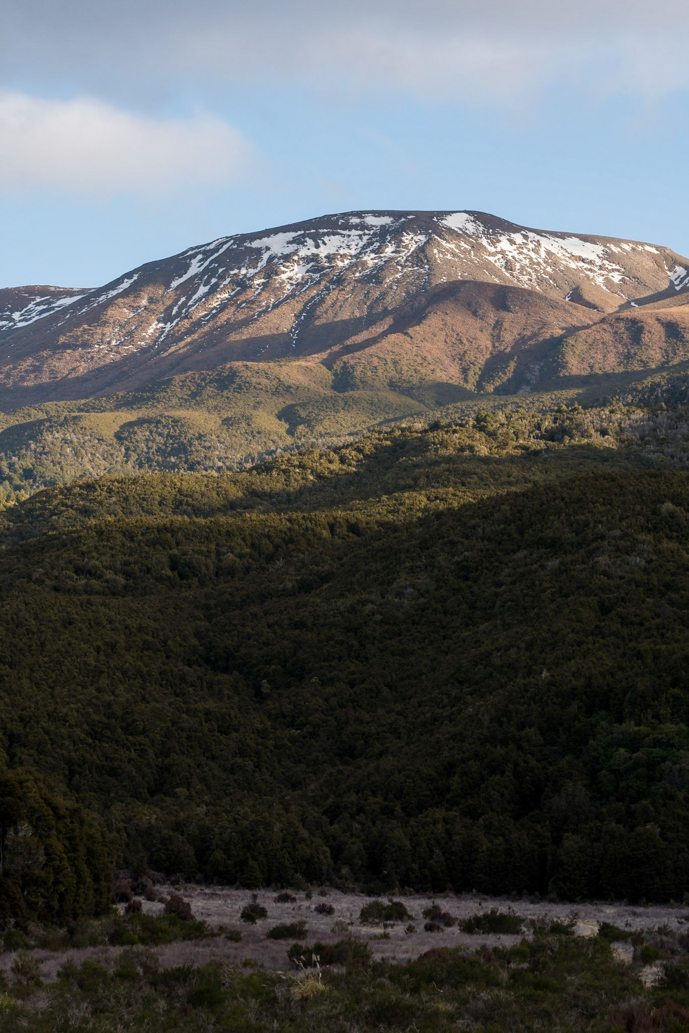 Mount Tongariro