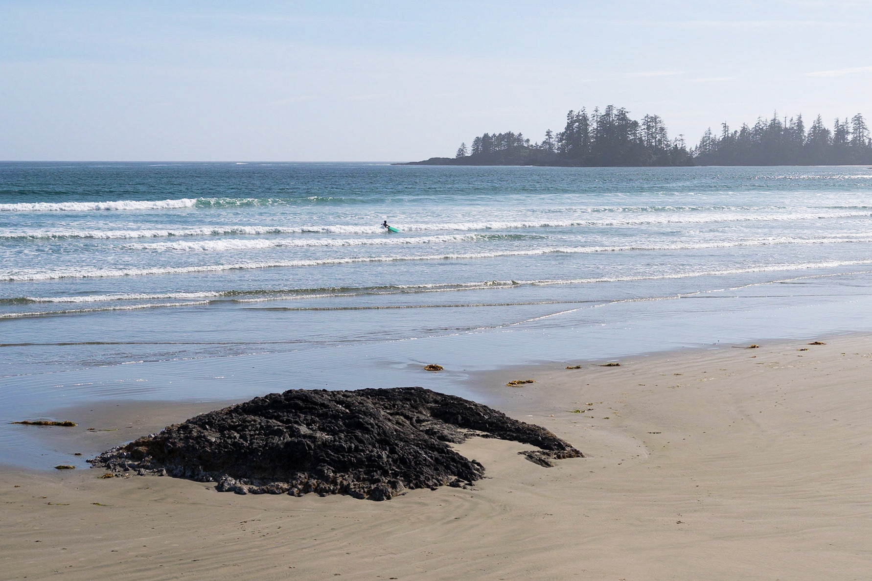 Tofino