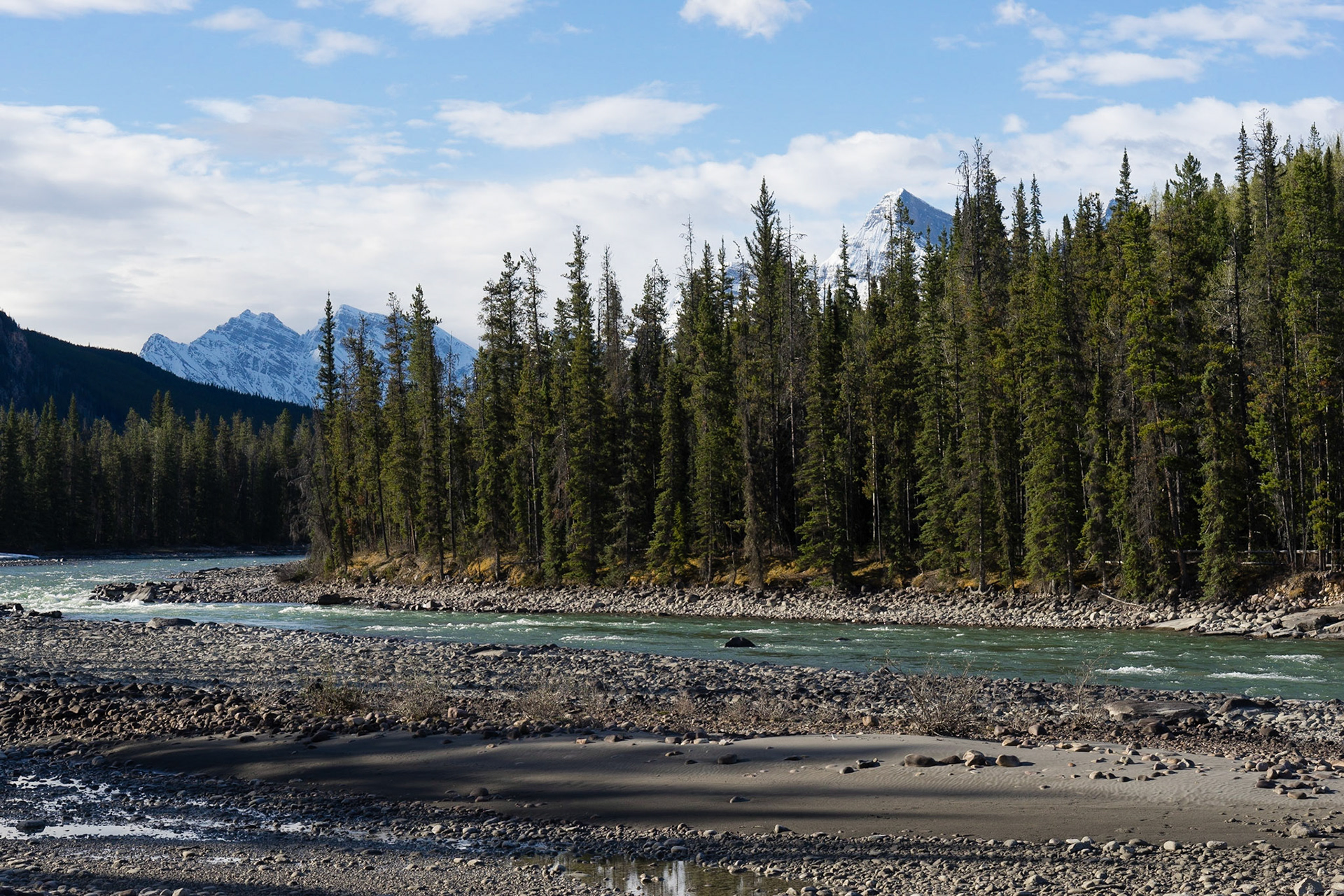 Icefield Parkway between Jasper and Saskatchewan River Crossing, Ab.