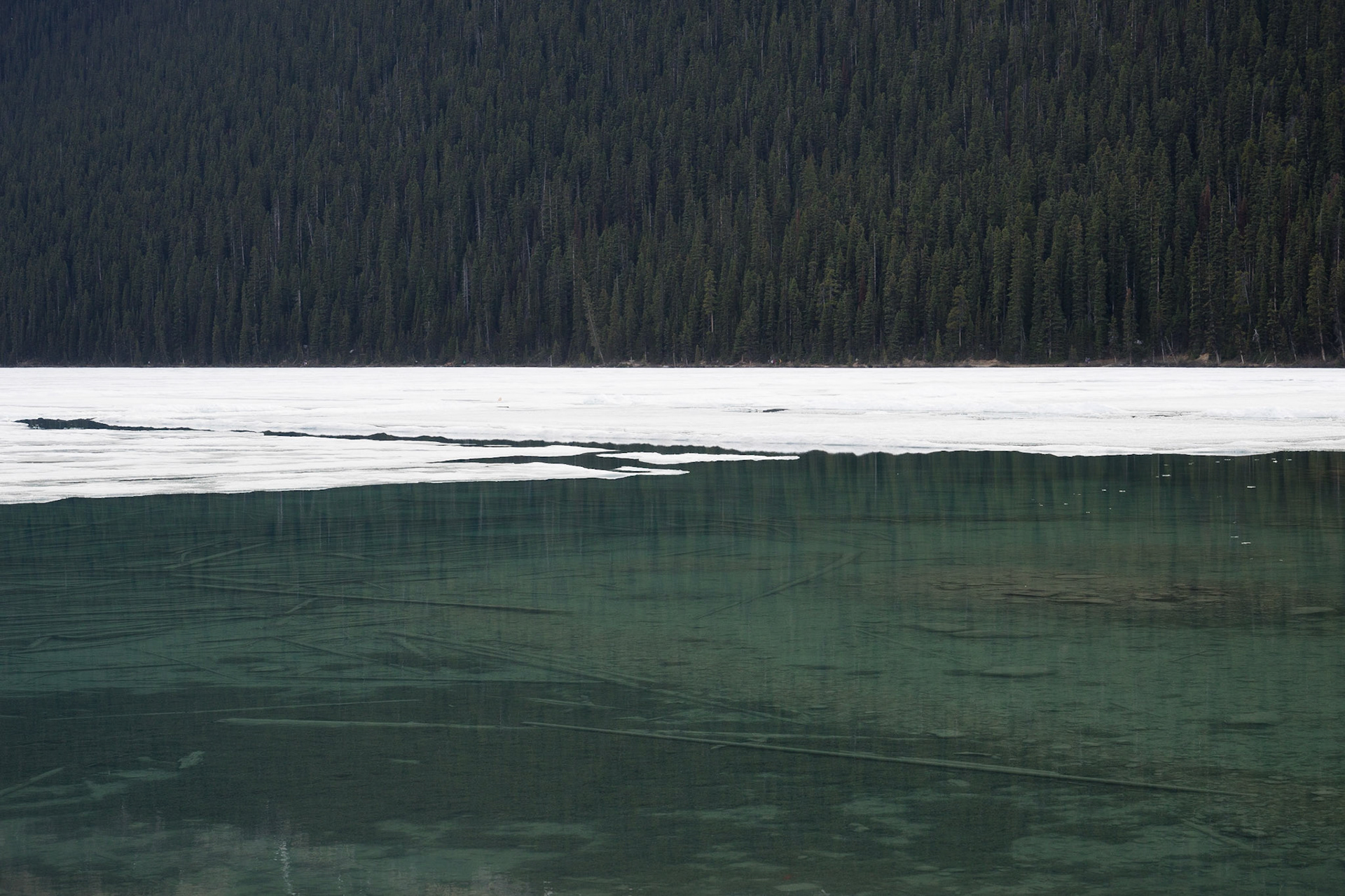 Ice slowly melting on the surface as the temperatures warm in the spring.