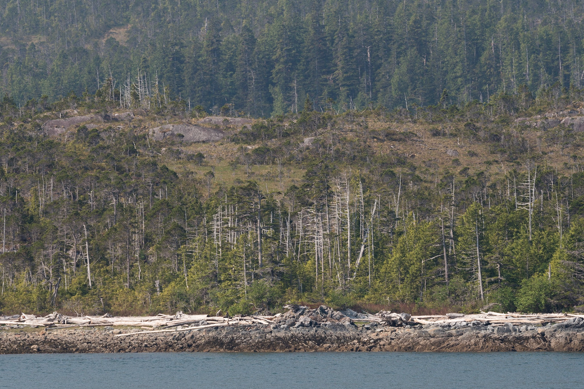 The Inside Passage from Port Hardy to Prince Rupert