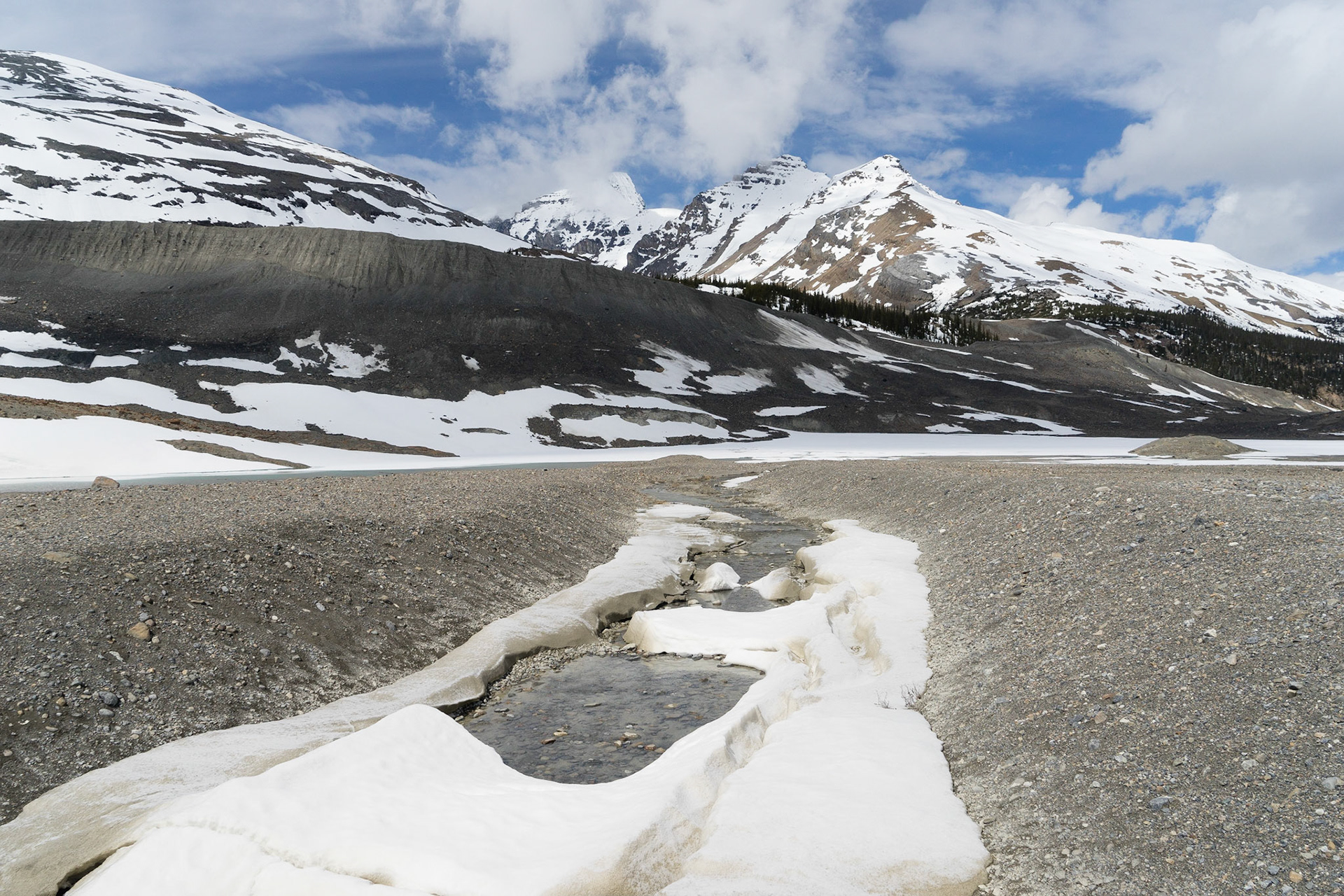 Icefield Parkway between Jasper and Saskatchewan River Crossing, Ab.
