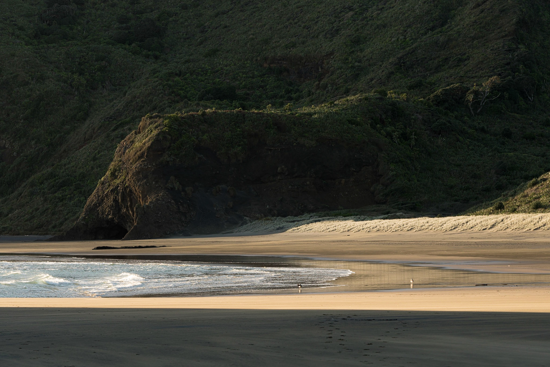 O'Neill Bay