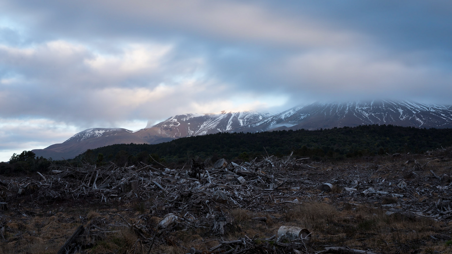 Mount Tongariro