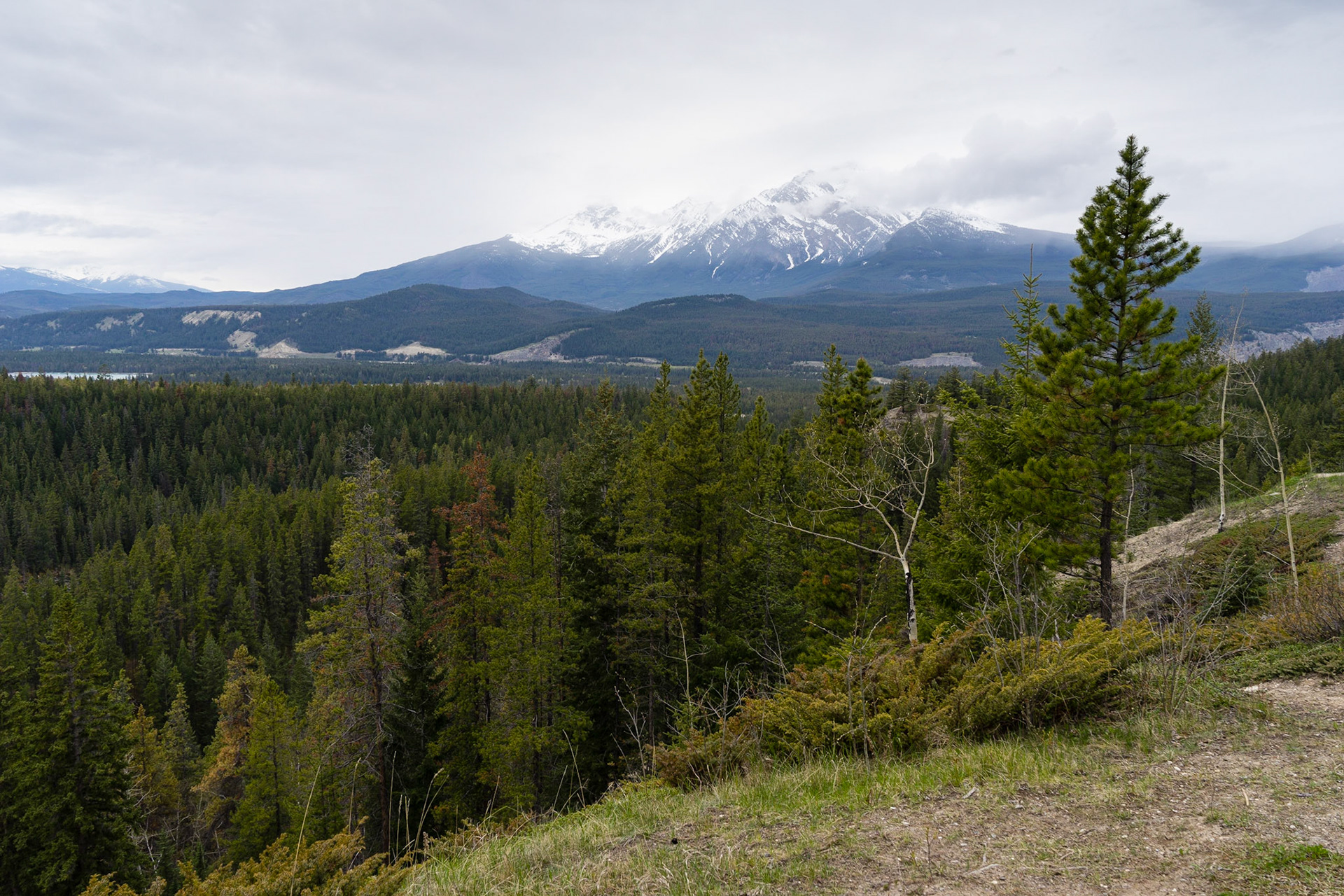 Looking back towards Jasper as we drove up to Maligne Lake.