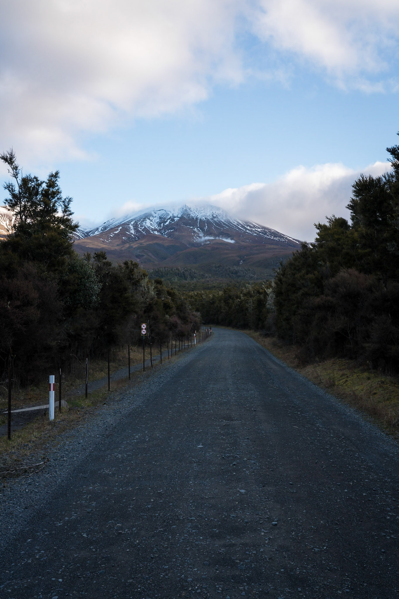 Mount Tongariro