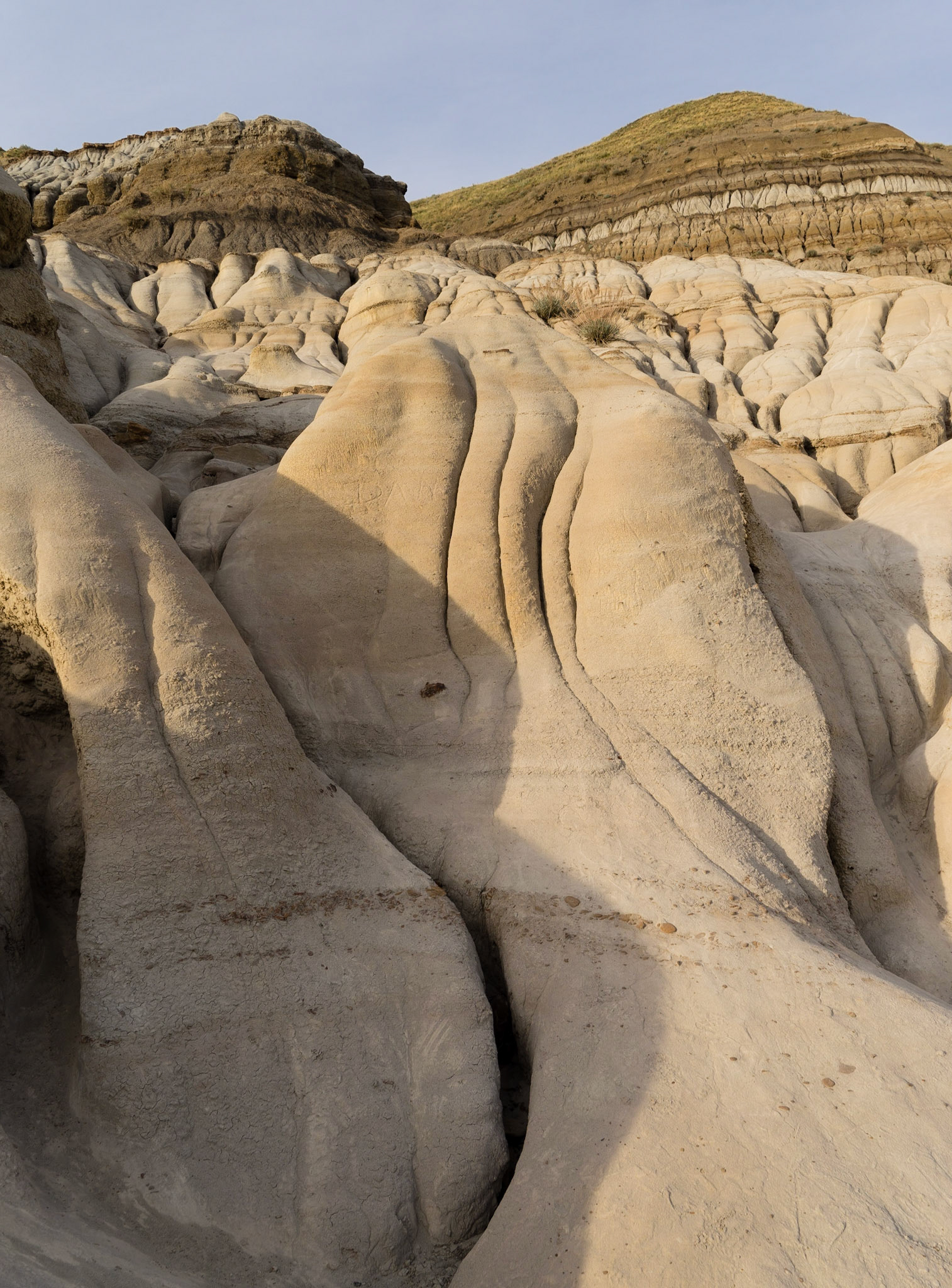Badlands, near Drumheller, AB.