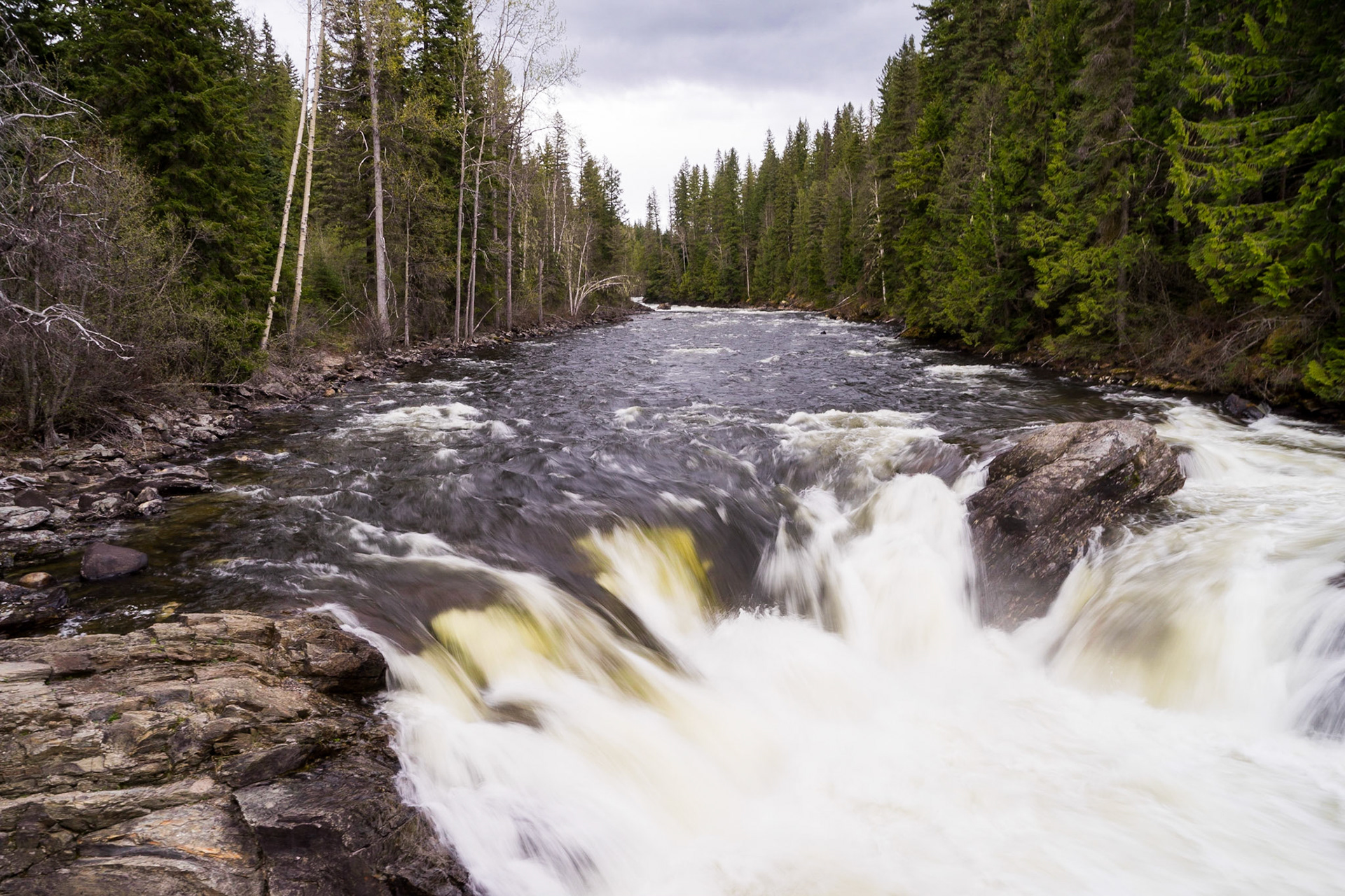 Murtle River, near Clearwater BC