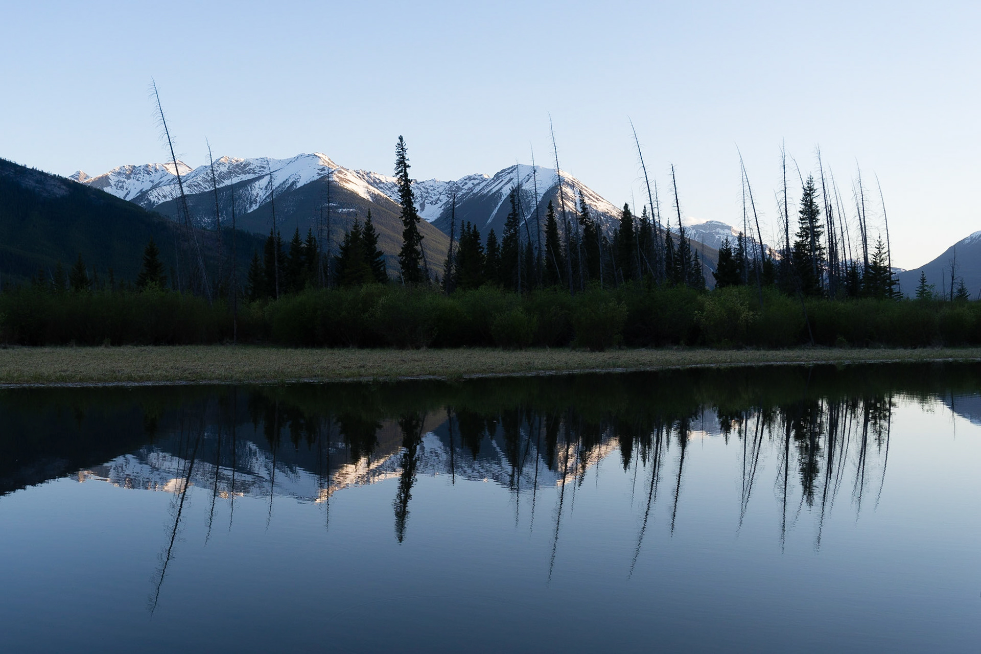 Reflections in the Vermillion Lakes, near Banff AB