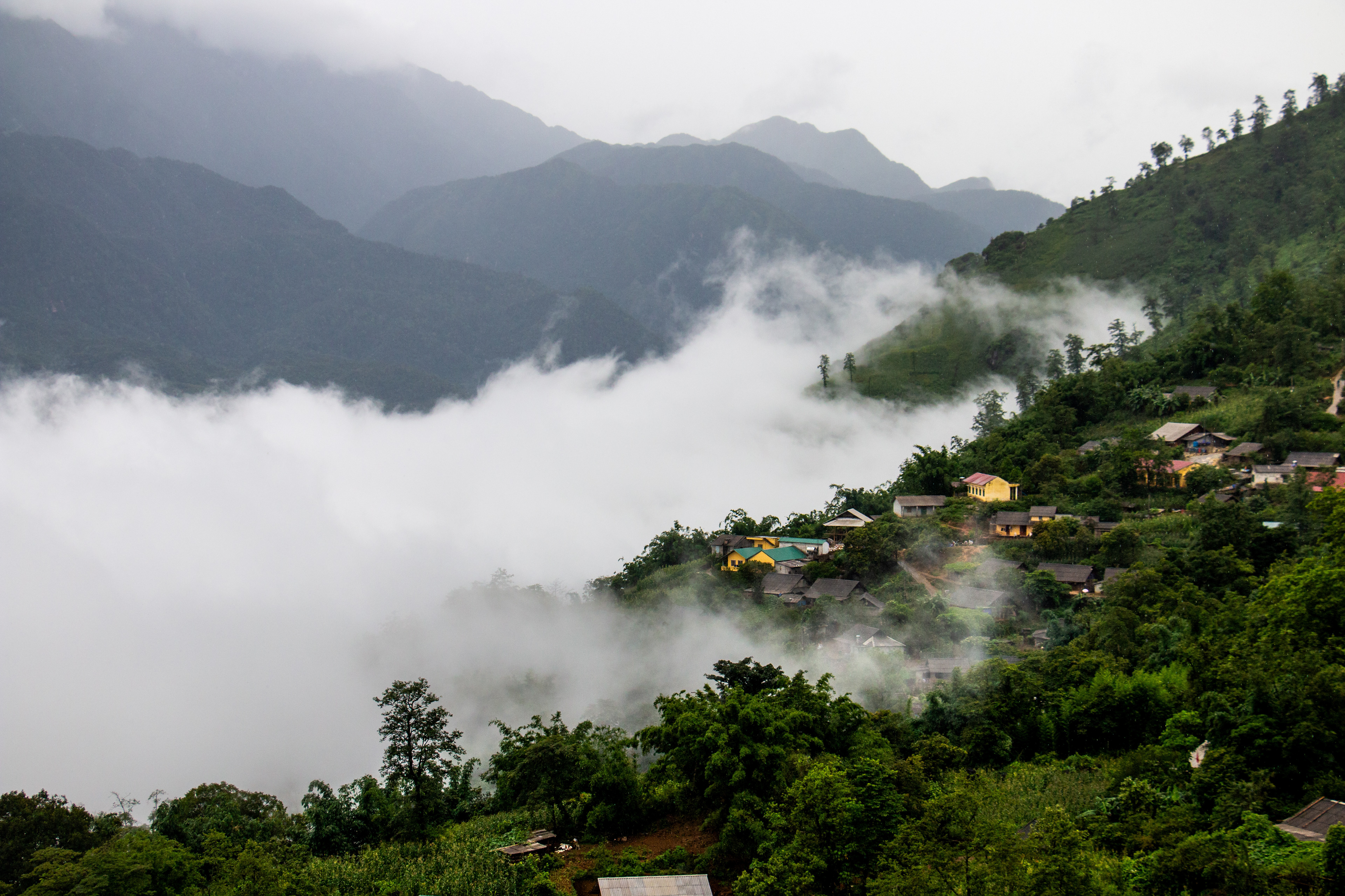 Sapa