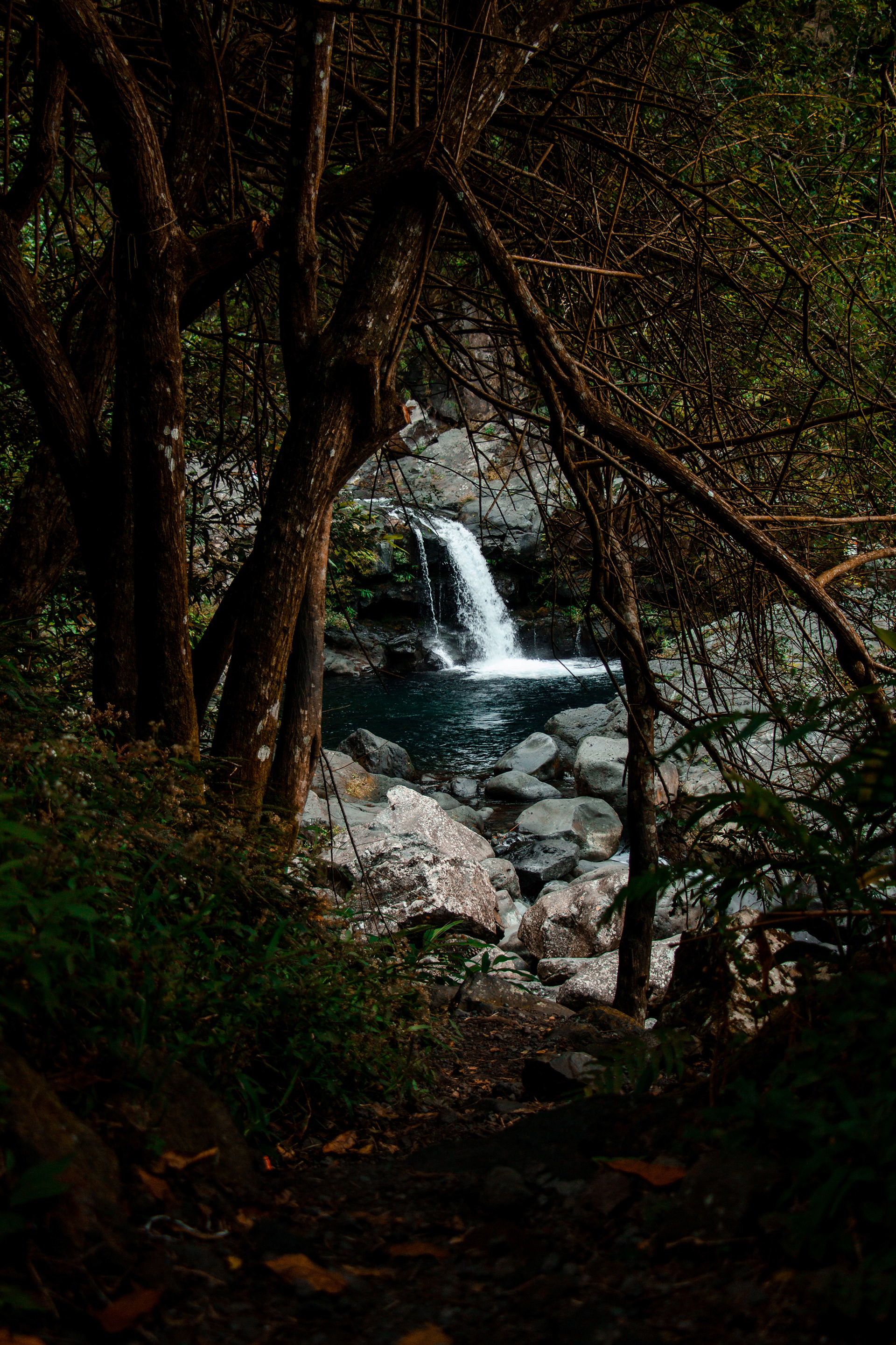 Langevin