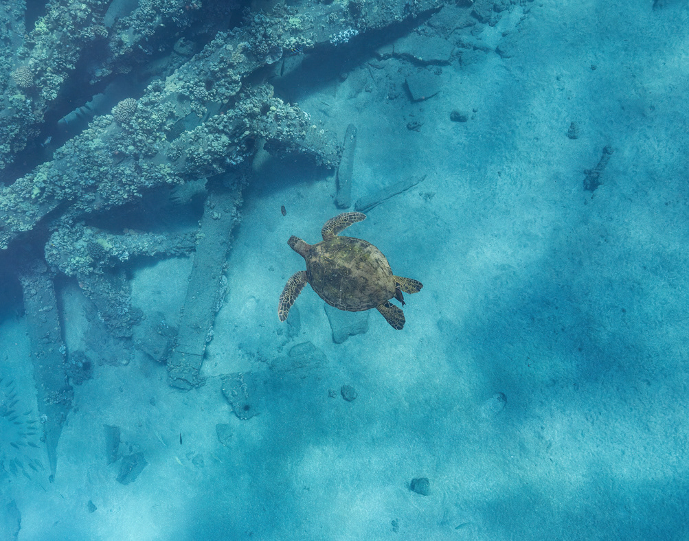 Another day in paradise