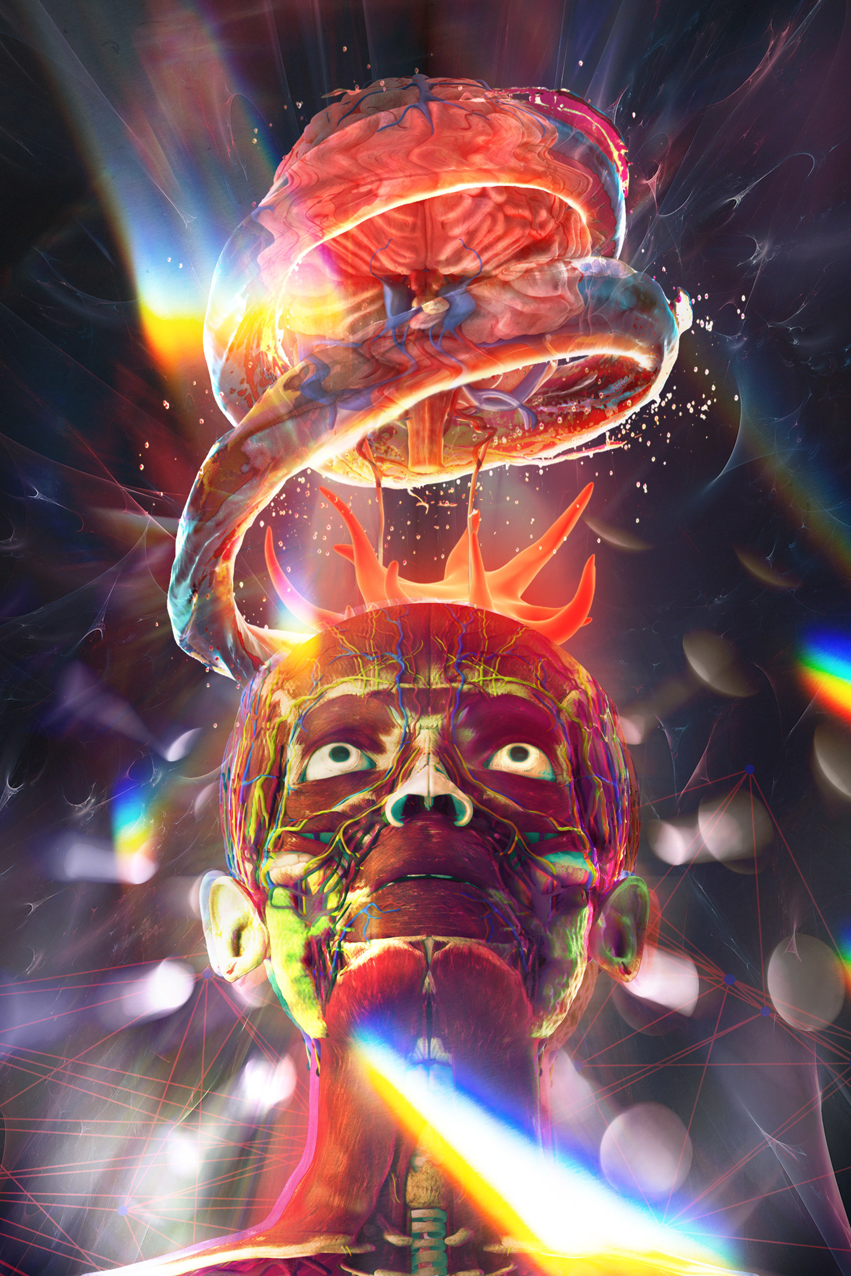 TITLE: FREE YOUR MIND