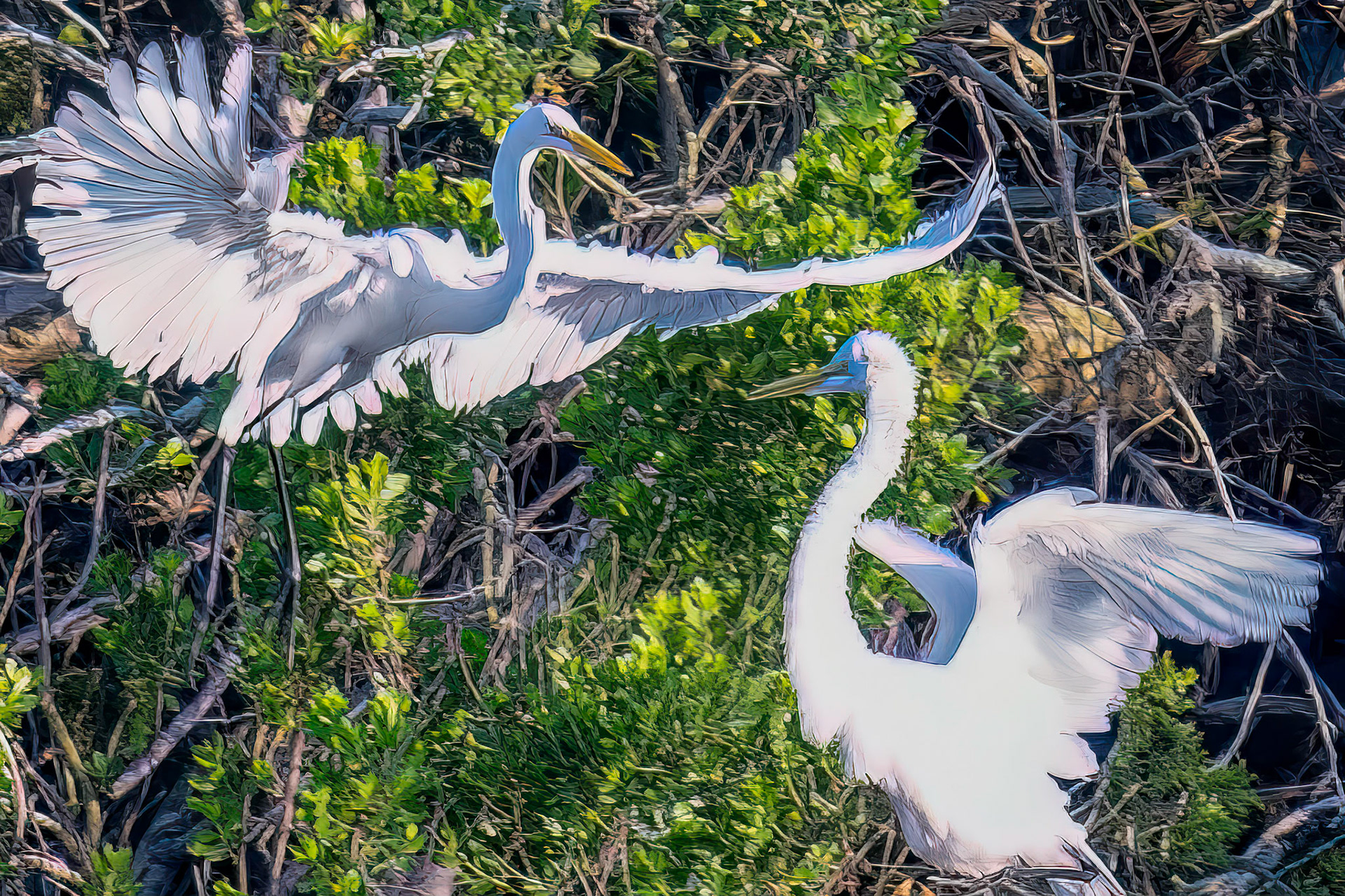 Great Egret