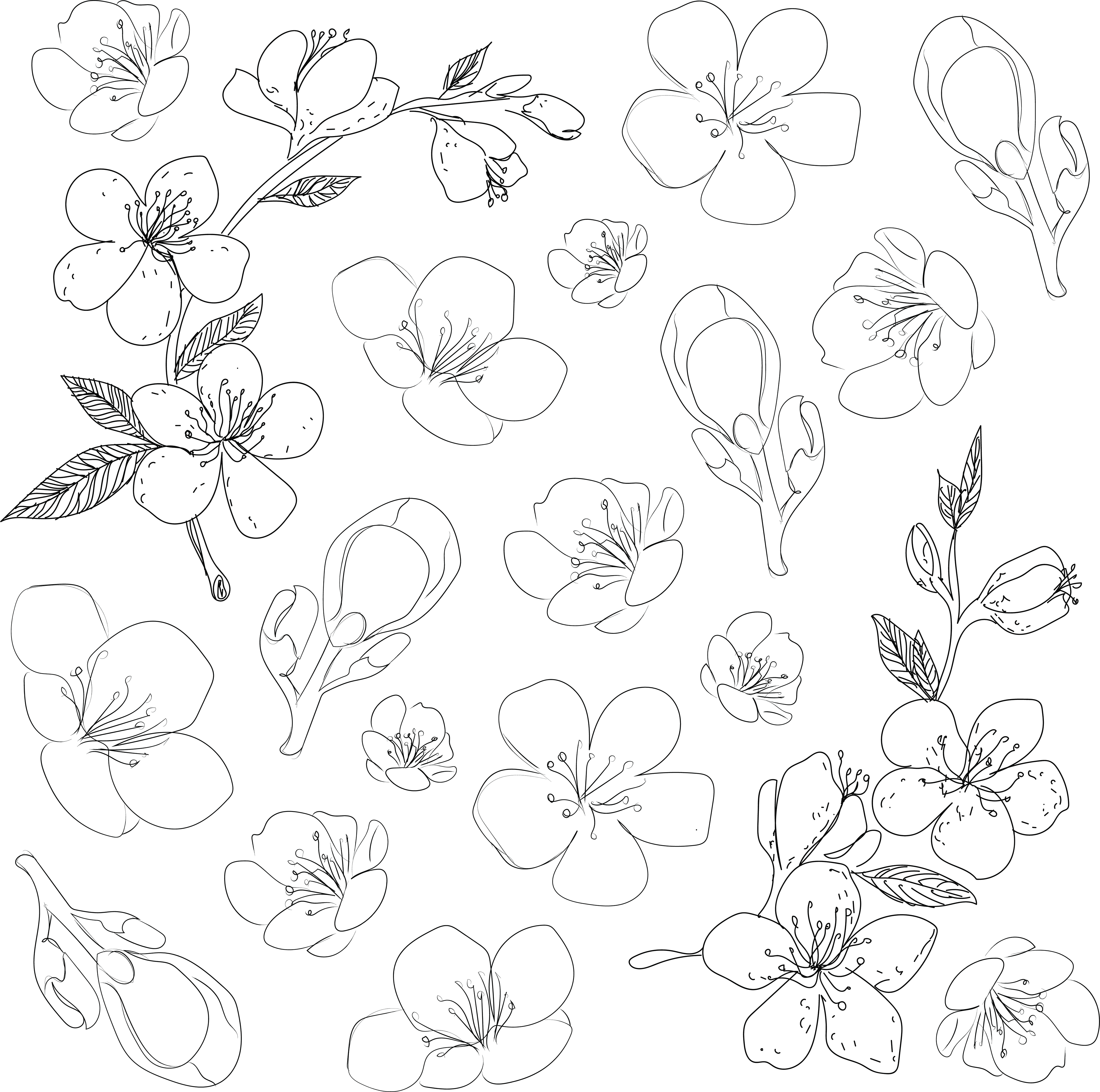 Pattern development: outlines. Adobe Illustrator