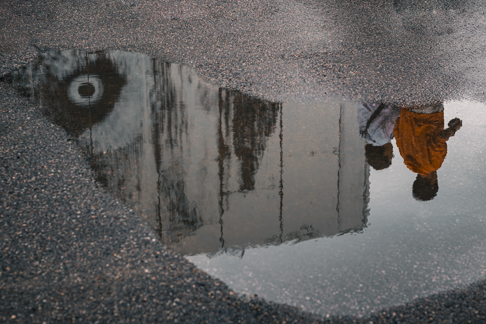 17:55pm #Helsinki #Finland “A bird is swimming, and people are disturbing it”
