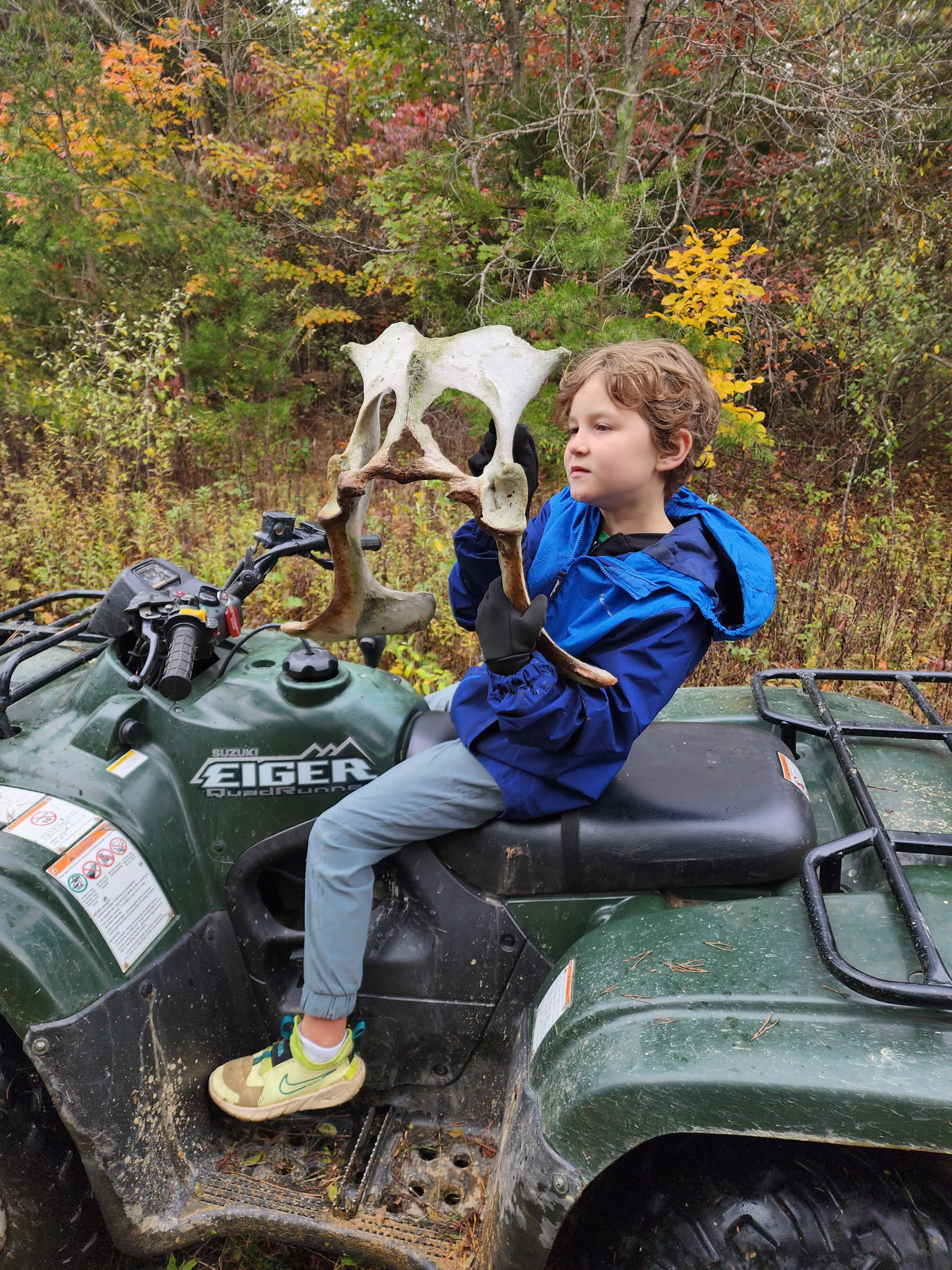 We find a lot of bones