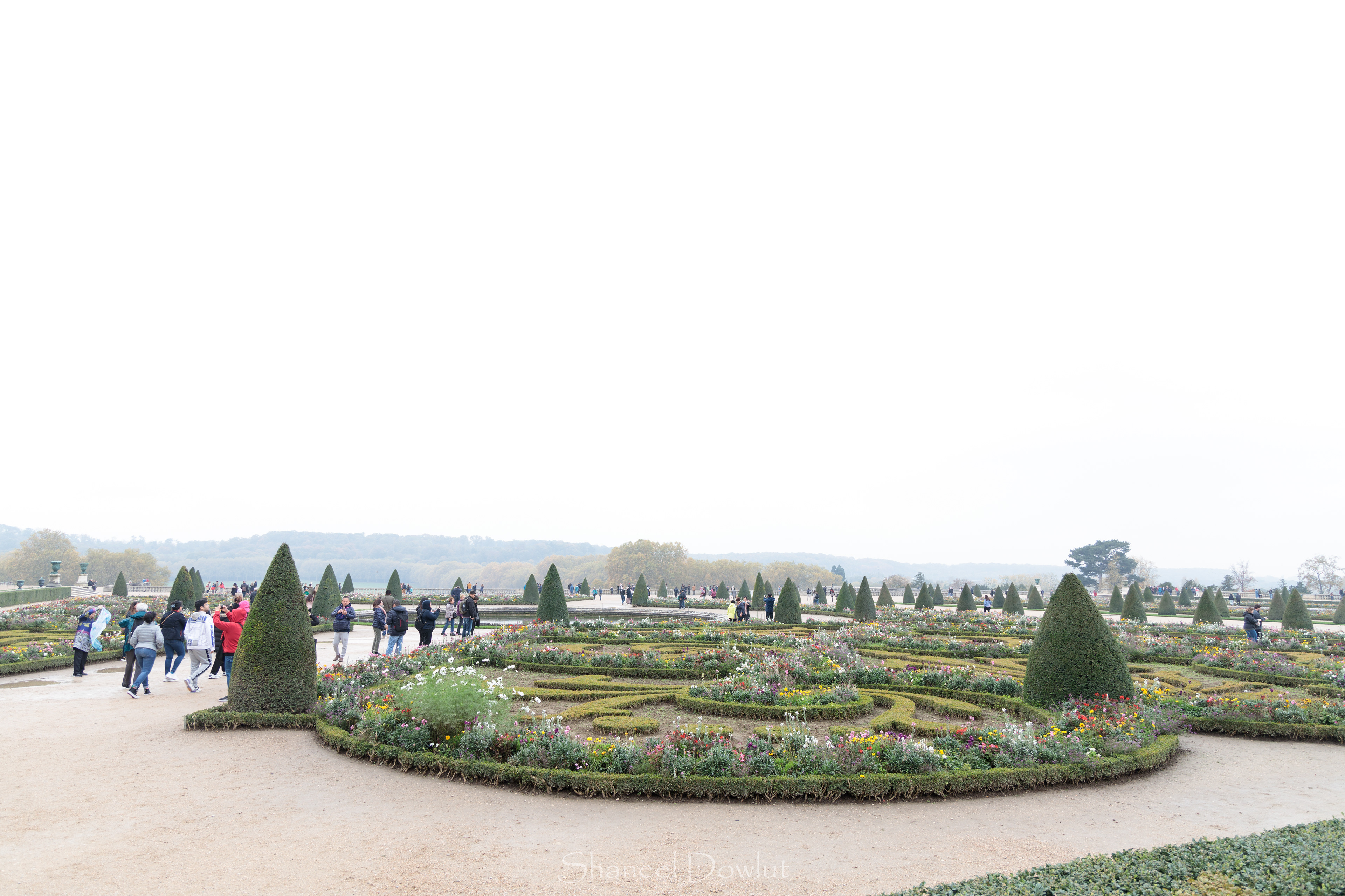 Shaneel Dowlut - Gardens of Versailles