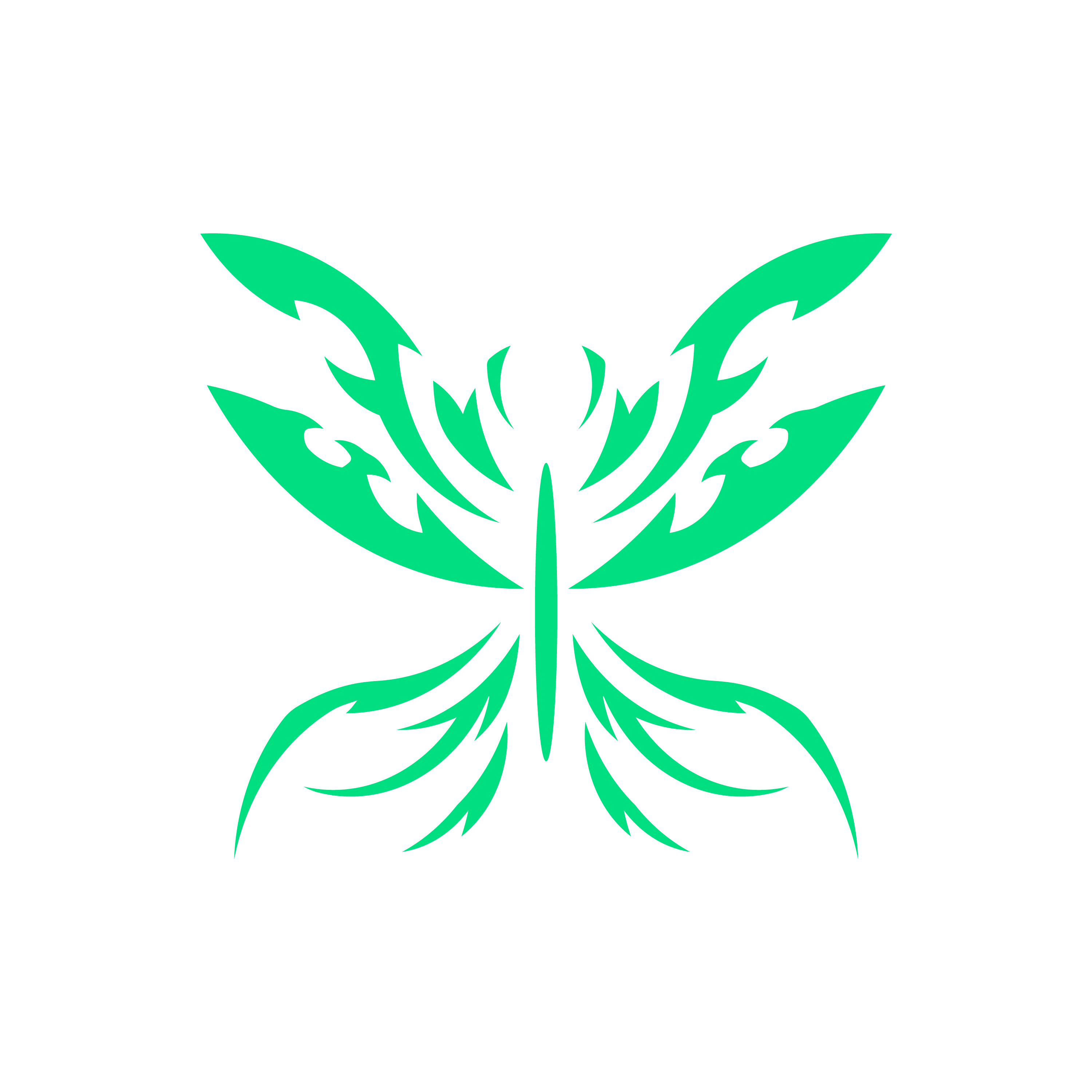 Pixie Studio