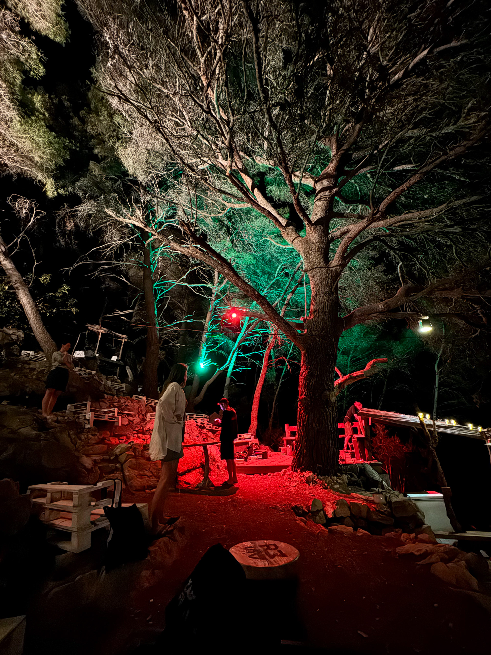 MARS Forrest