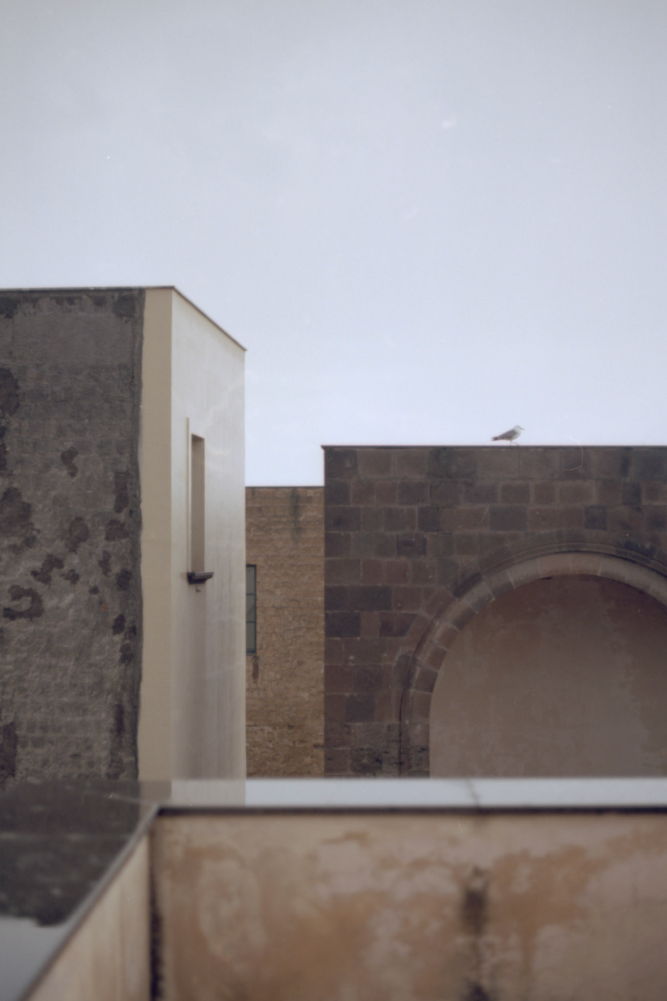 #filmfeed #analogvibes #grainisgood #staybrokeshootfilm #analogclub #super_ordinarylife #subjectivelyobjective #24hrchurch #collecmag #somewheremagazine #dreamermagazine #ifyouleave #infilmwetrust #shootonfilm #35mmfilm #onfilm #back2thebase